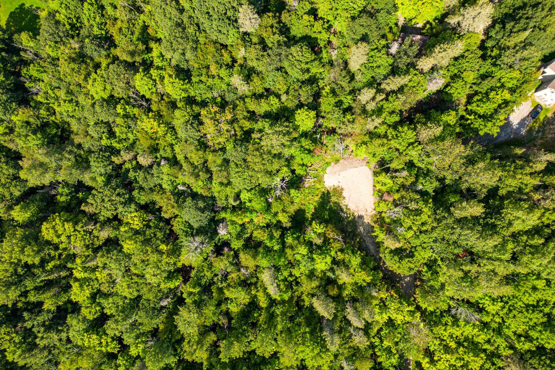 Land/Lot