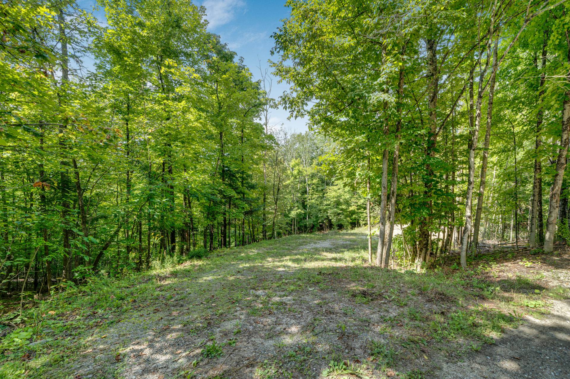 Land/Lot