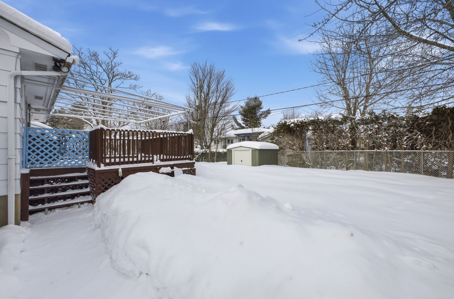Backyard