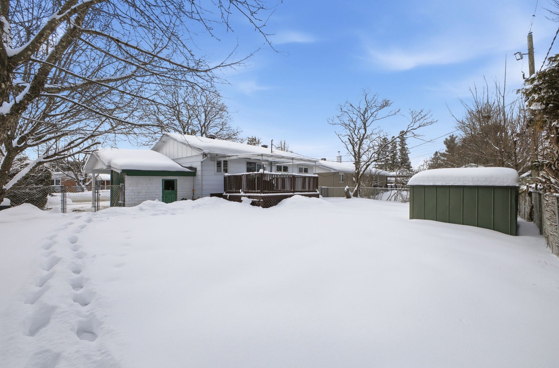Backyard