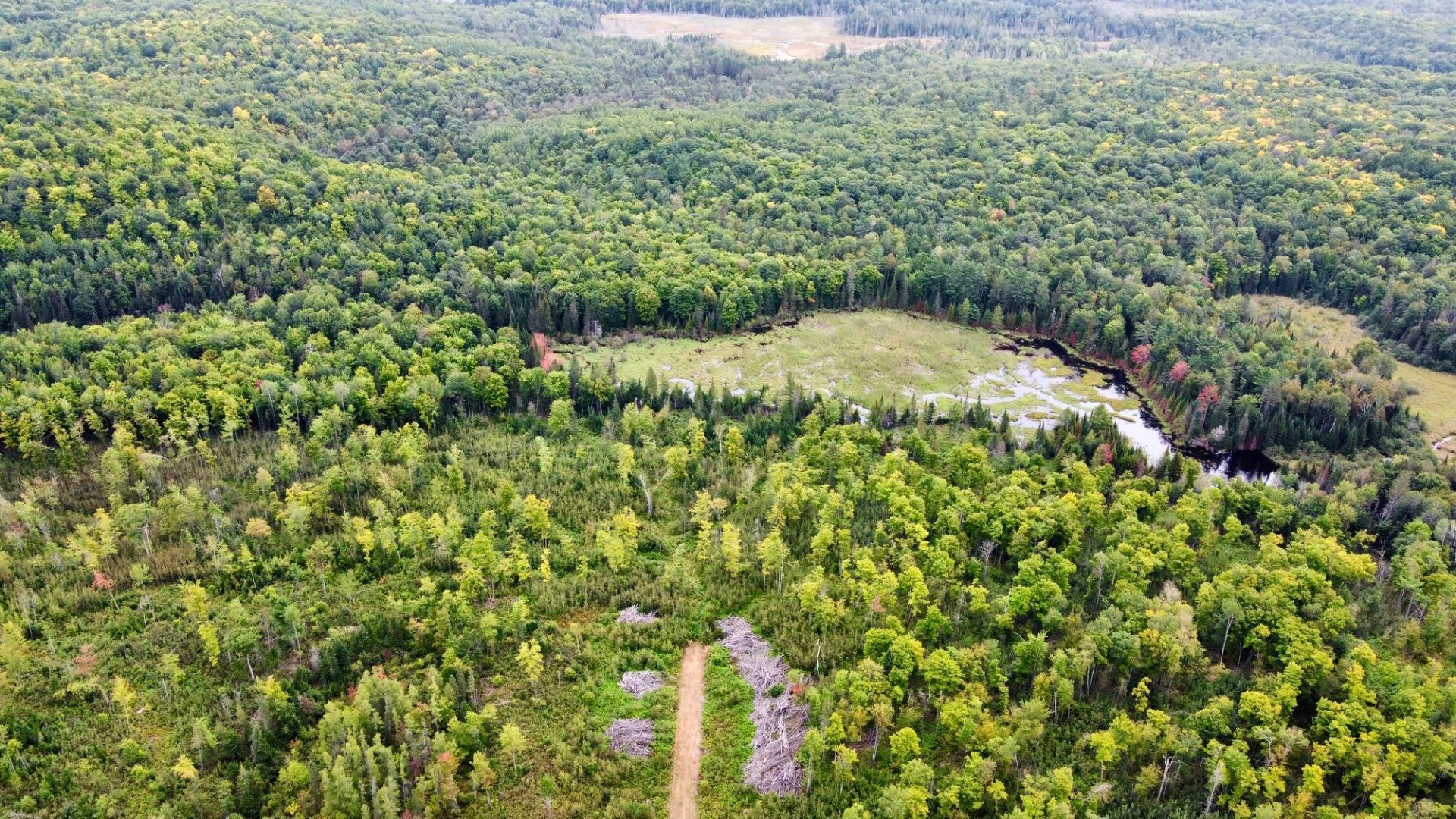 Aerial photo