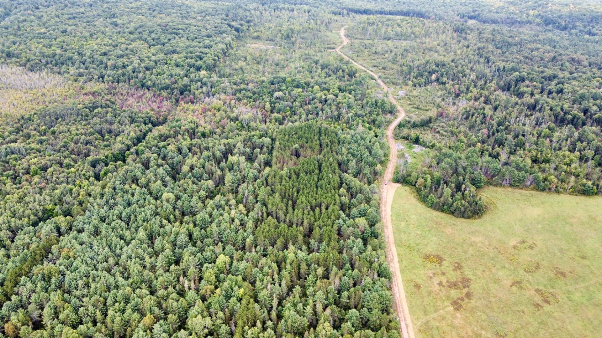 Aerial photo
