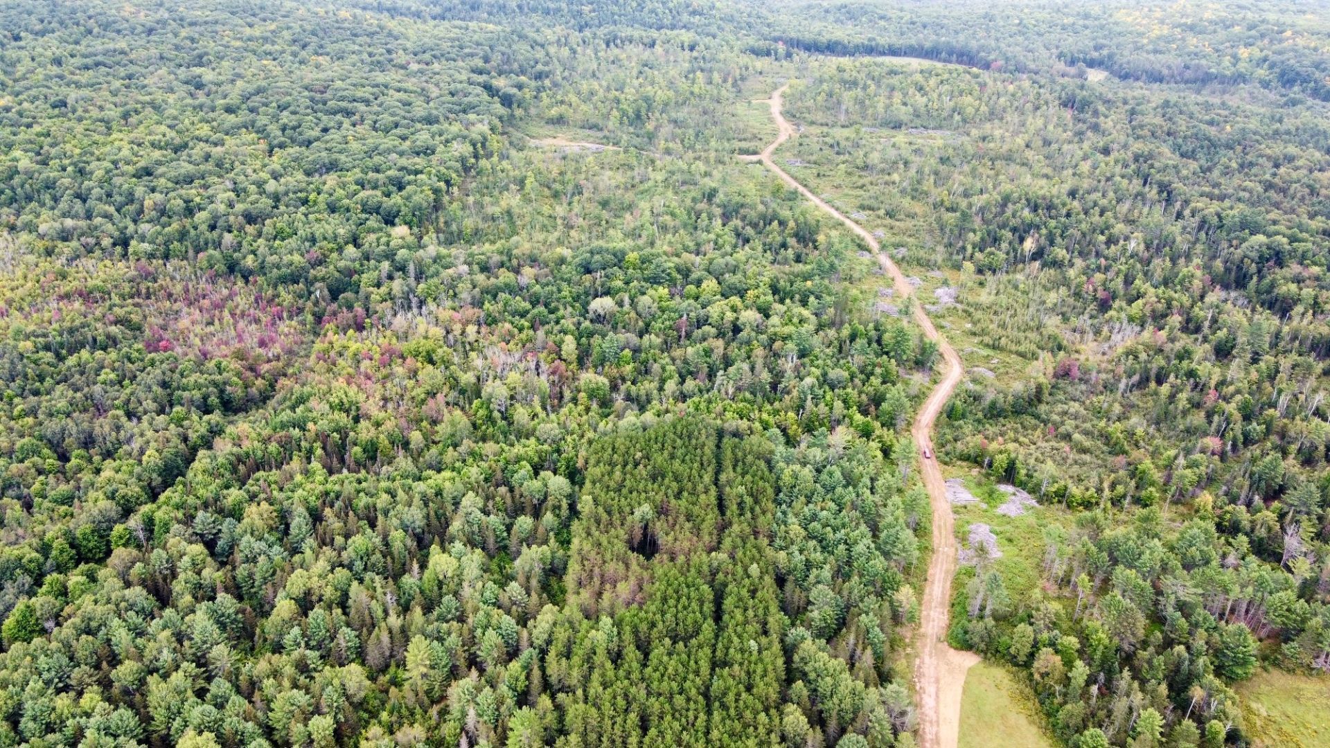 Aerial photo