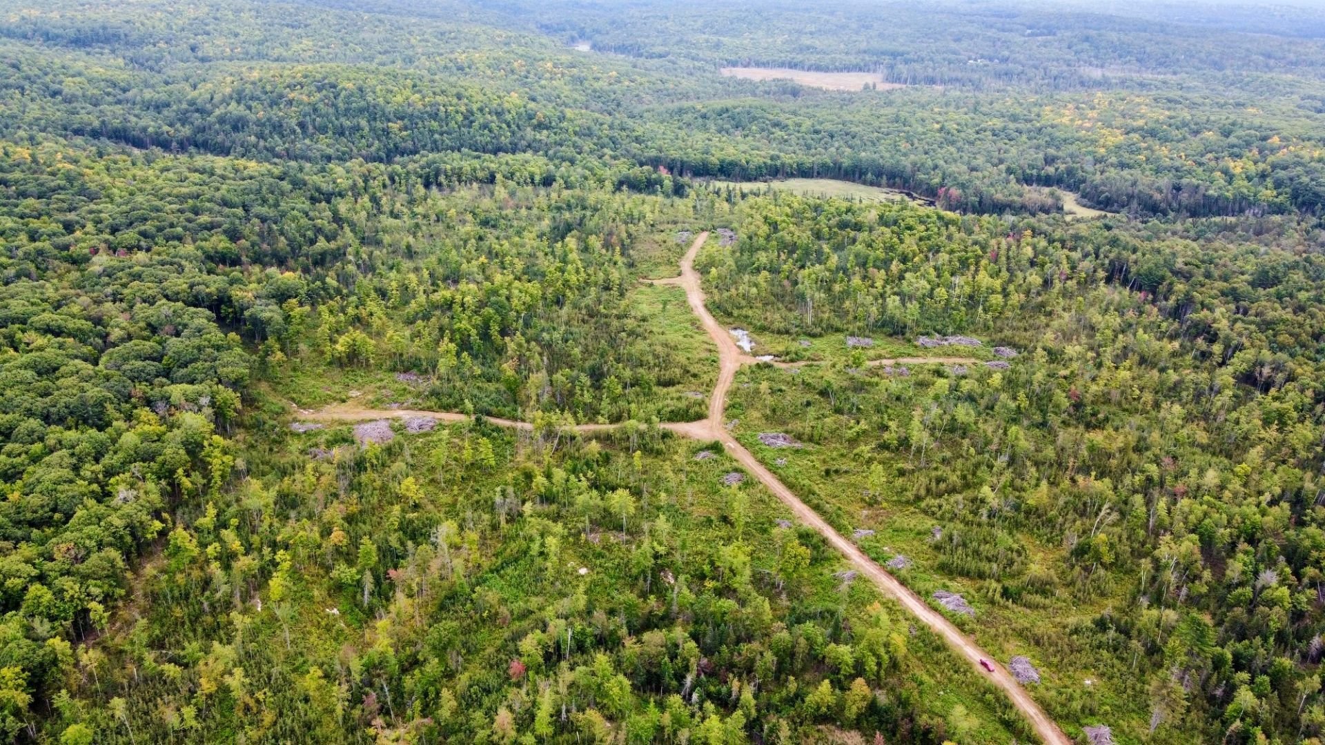 Aerial photo