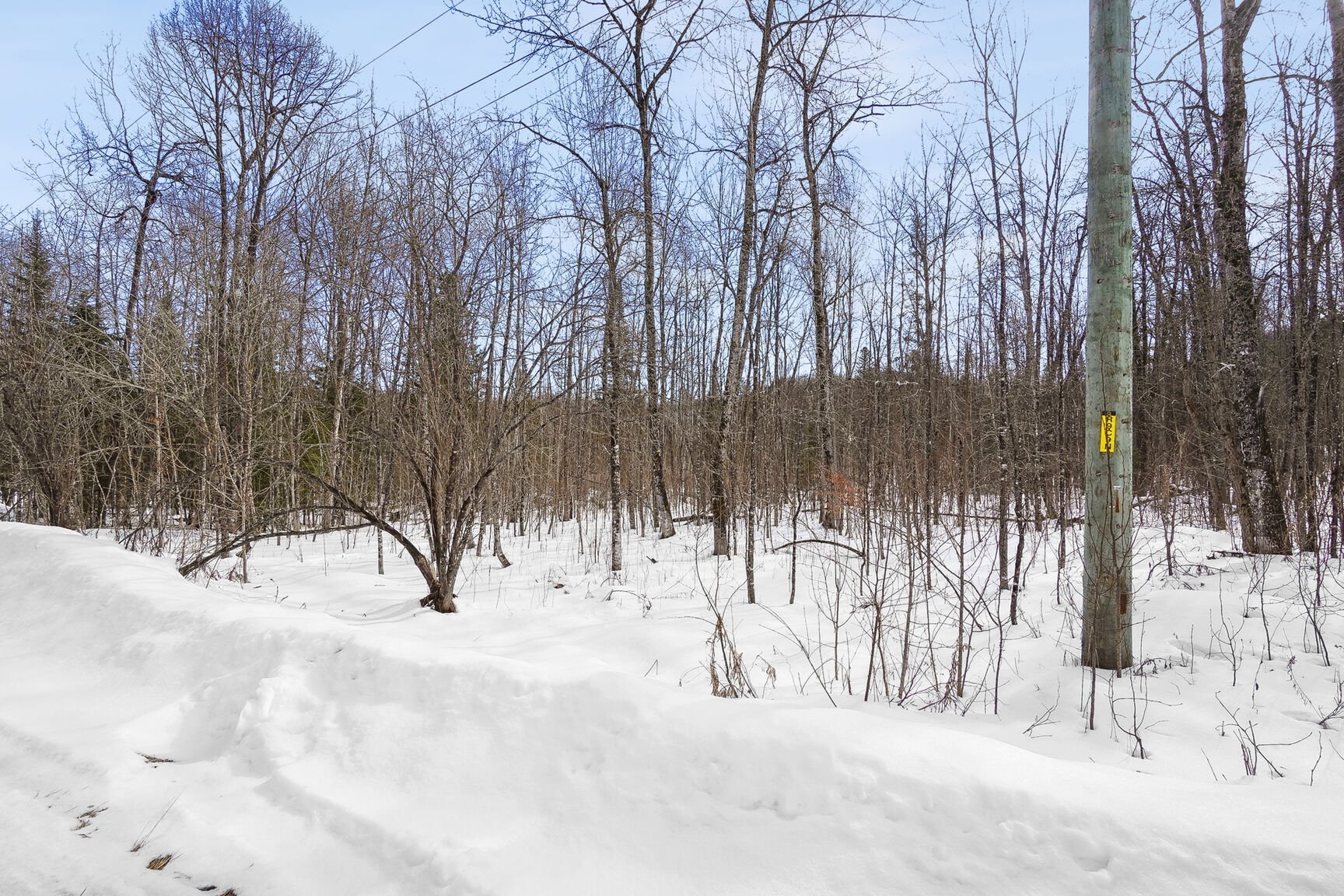 Terre/Terrain - Vue du terrain par Ch du Hérisson