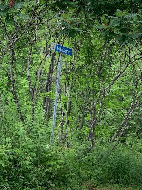 Terre/Terrain - du côté du Ch Hérisson