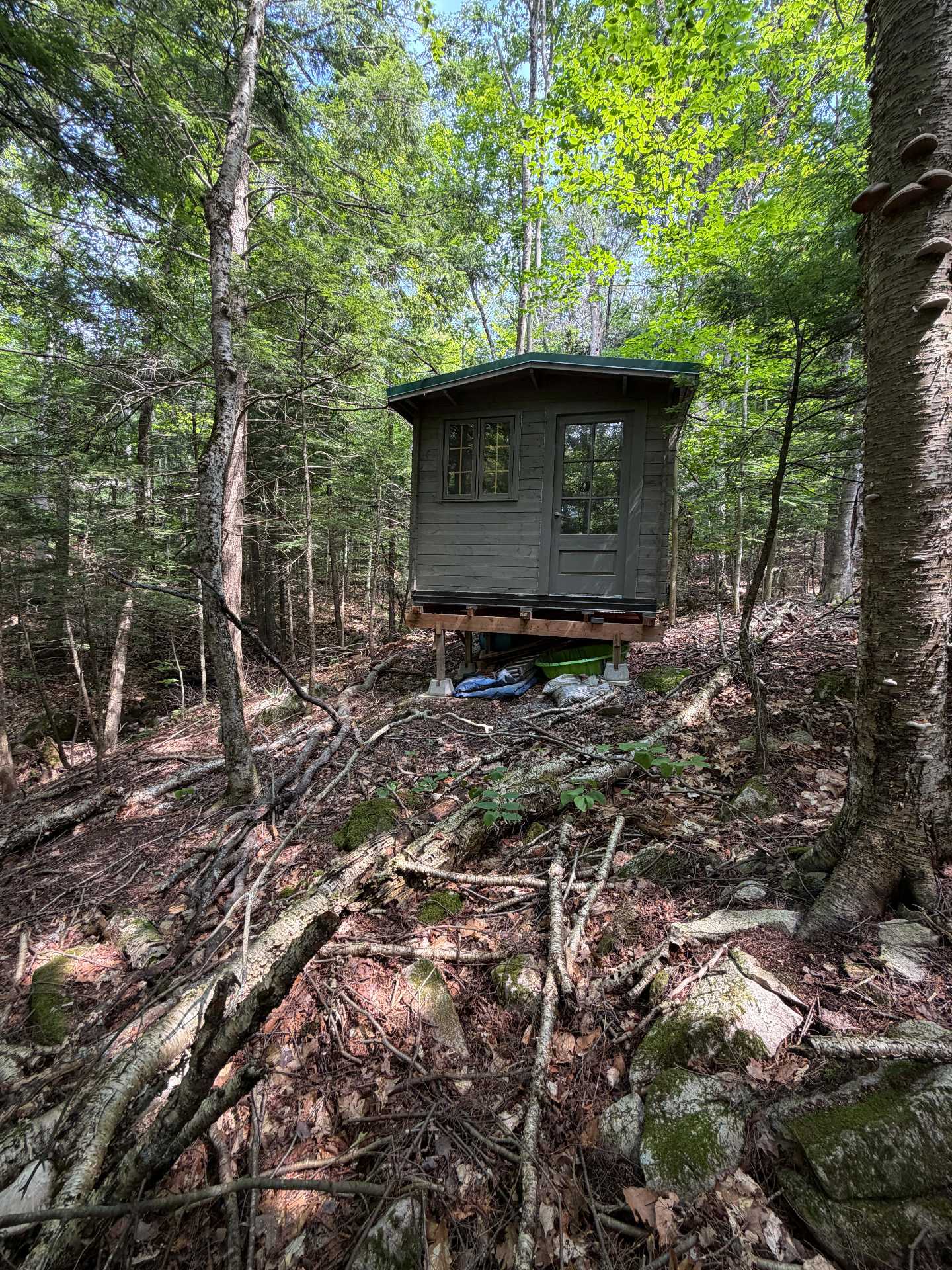 Shed