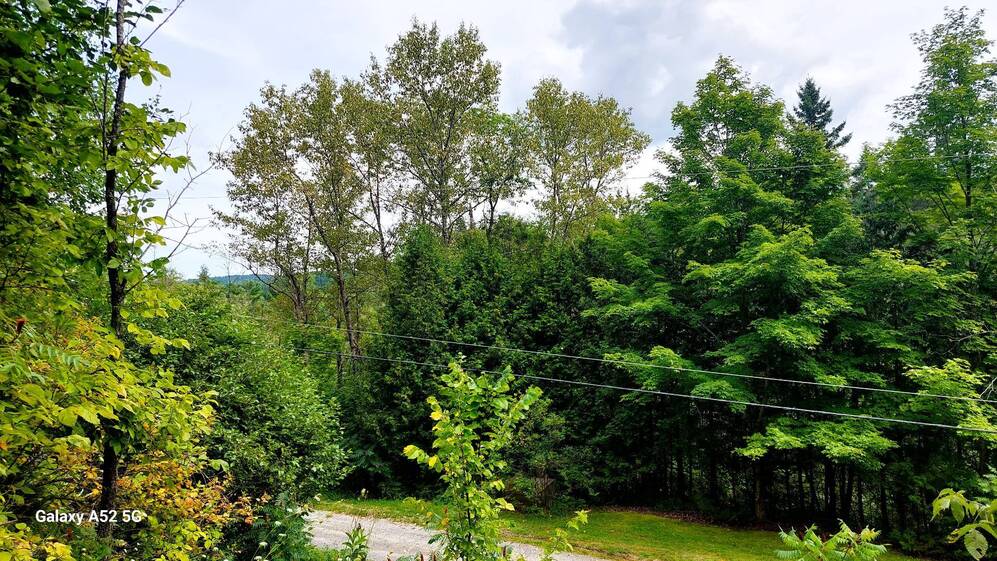 View - View on the Gatineau valley