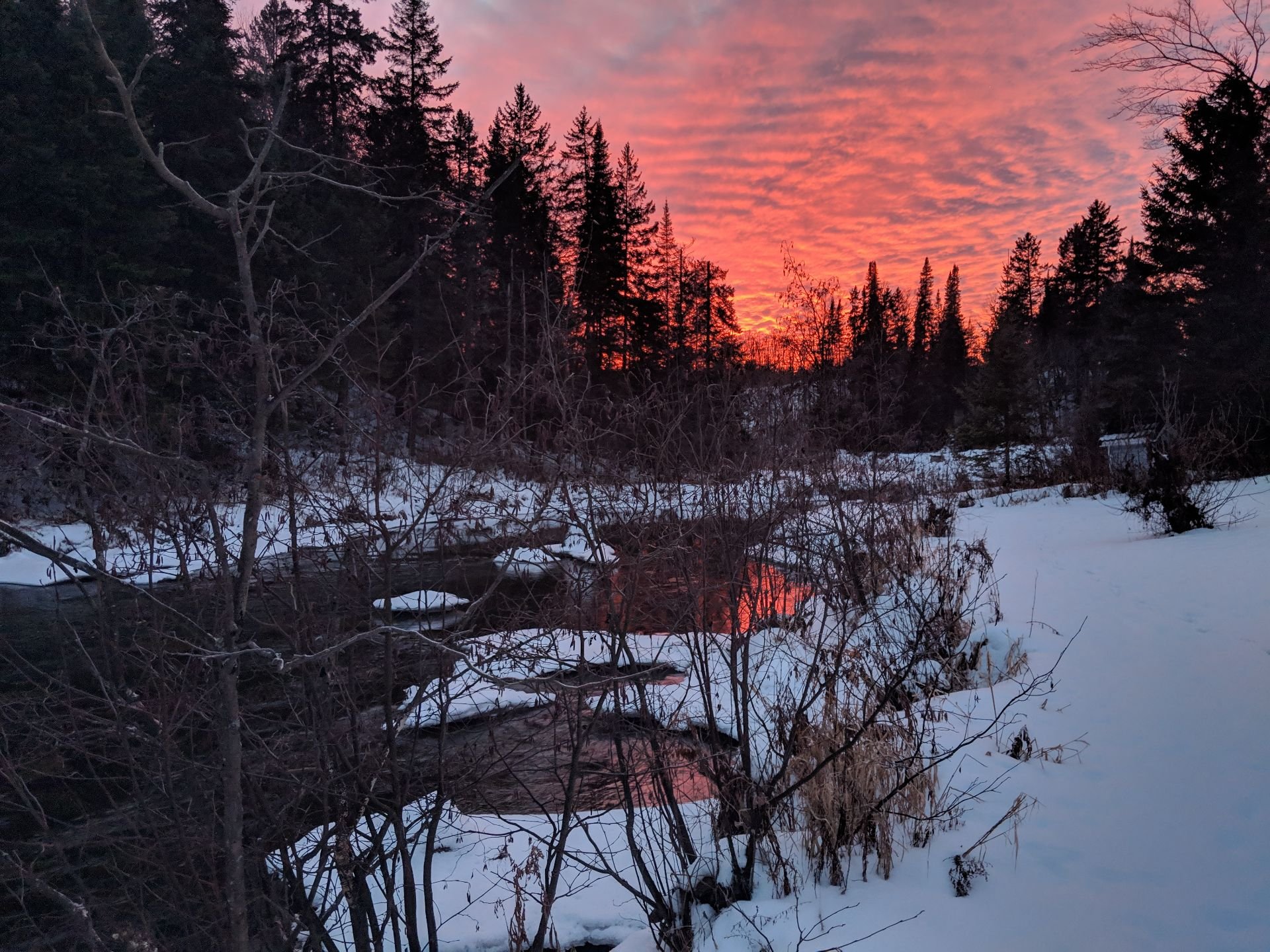 Bord de l'eau - Bord de l'eau