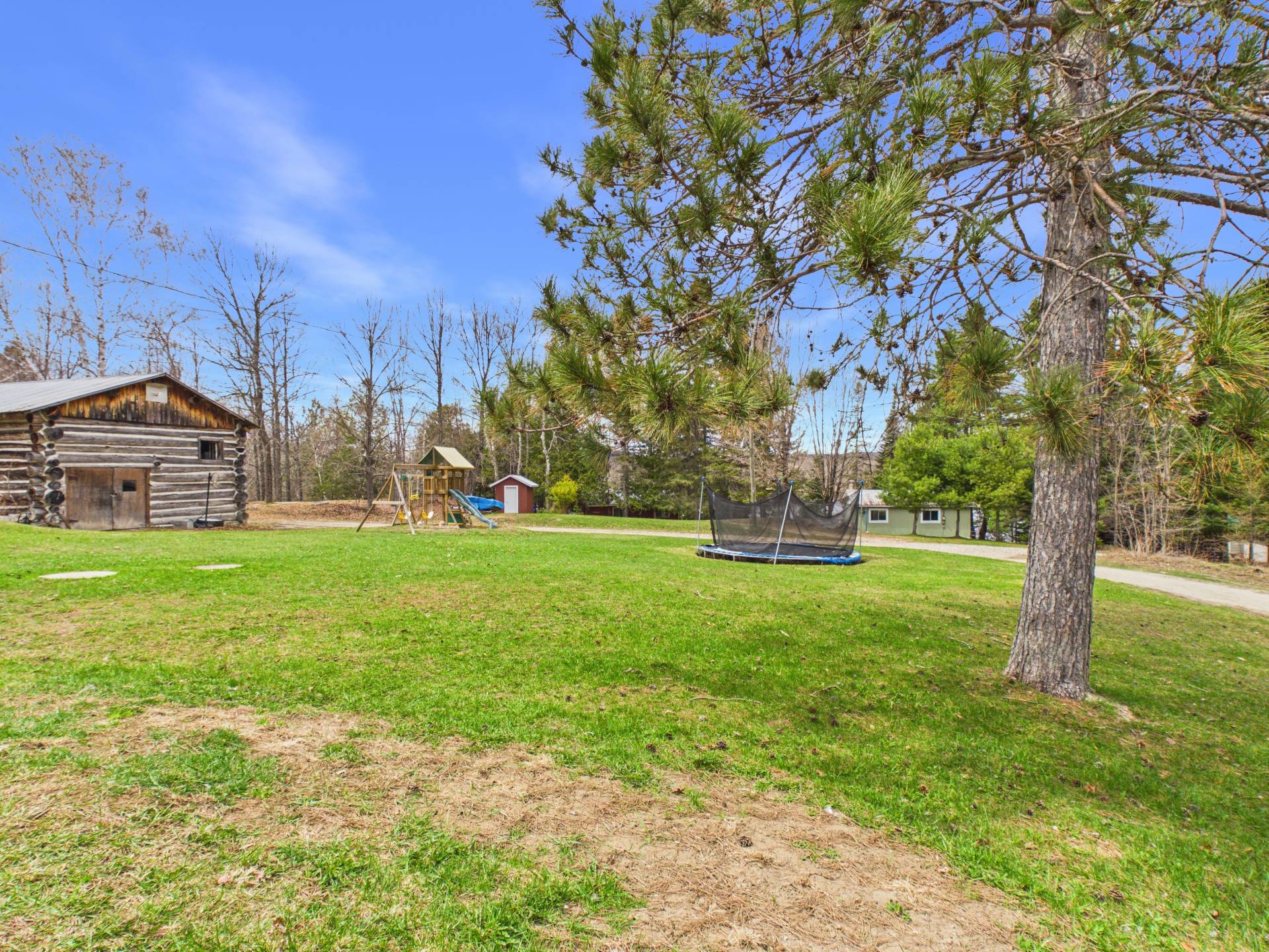 Backyard