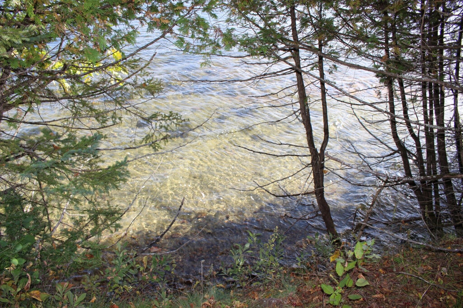 Bord de l'eau