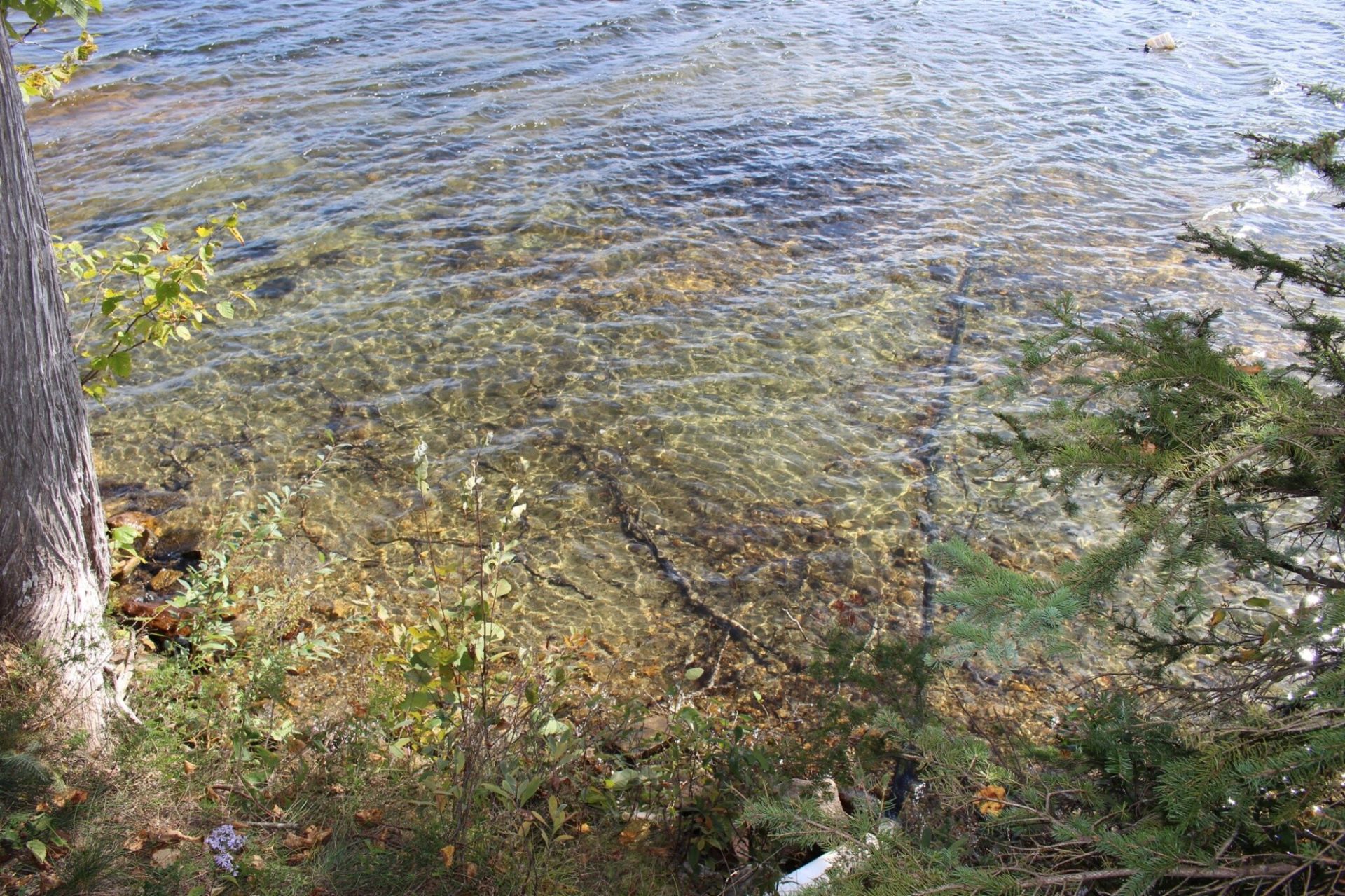 Bord de l'eau