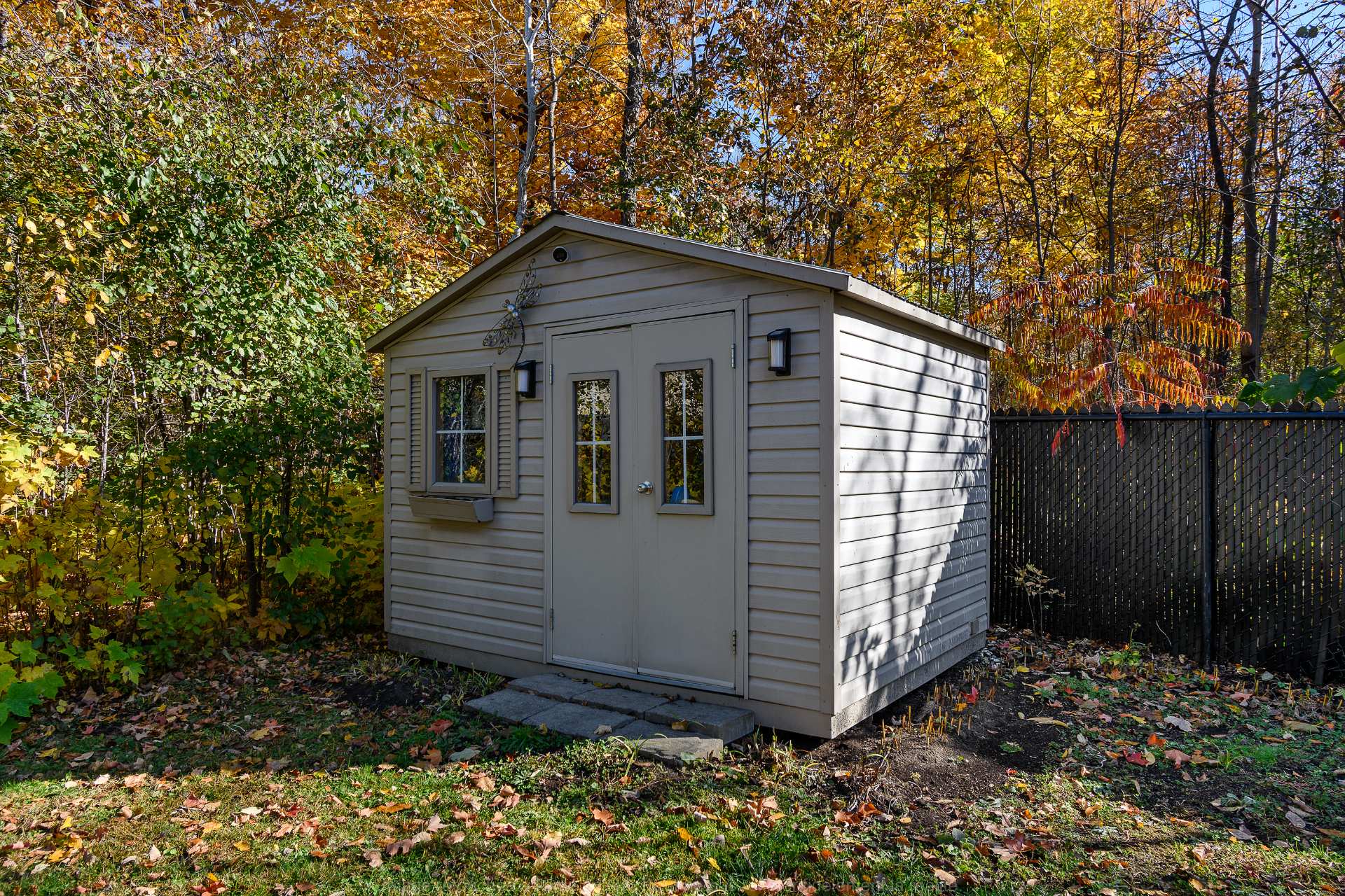 Shed