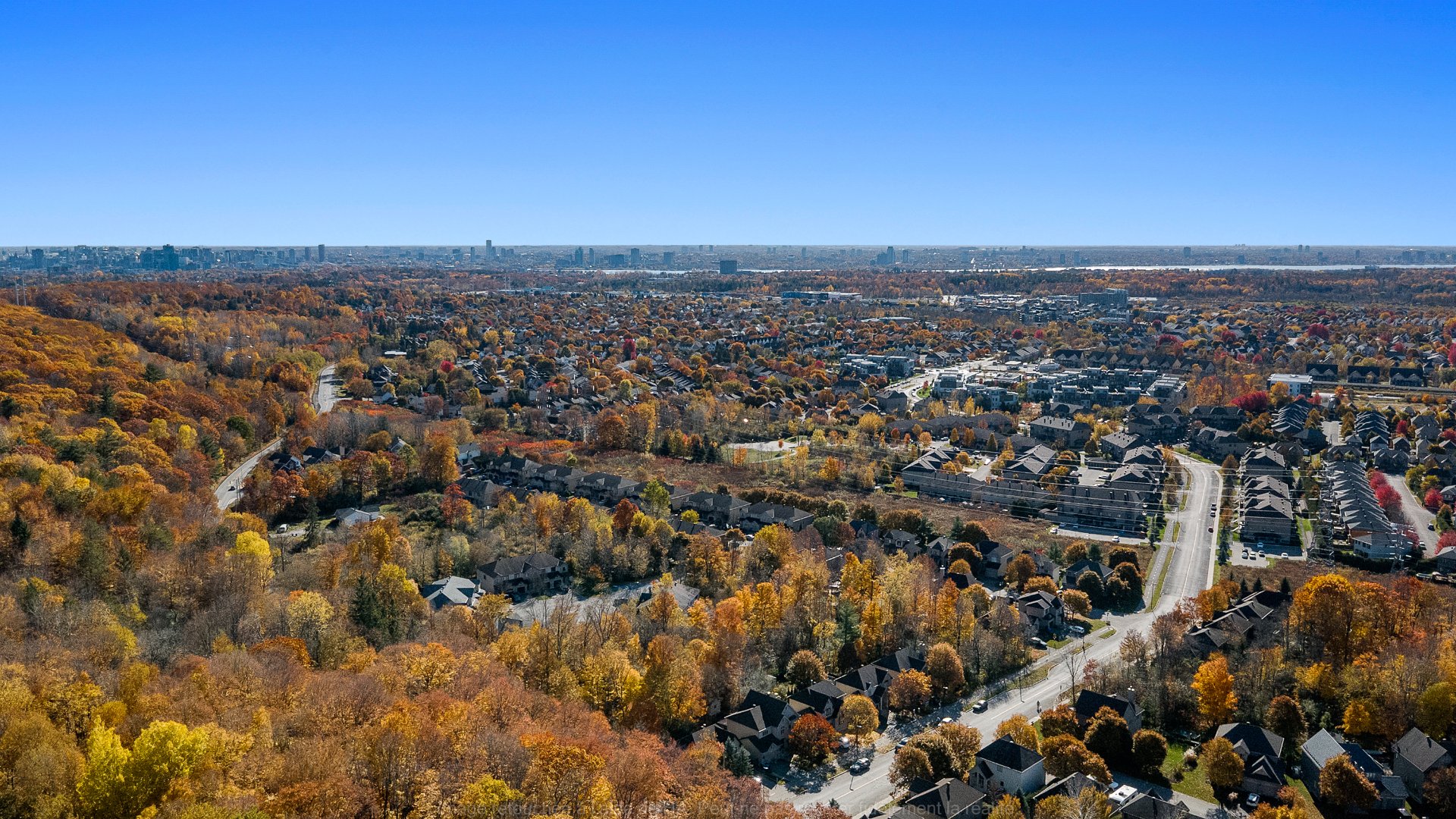 Overall view