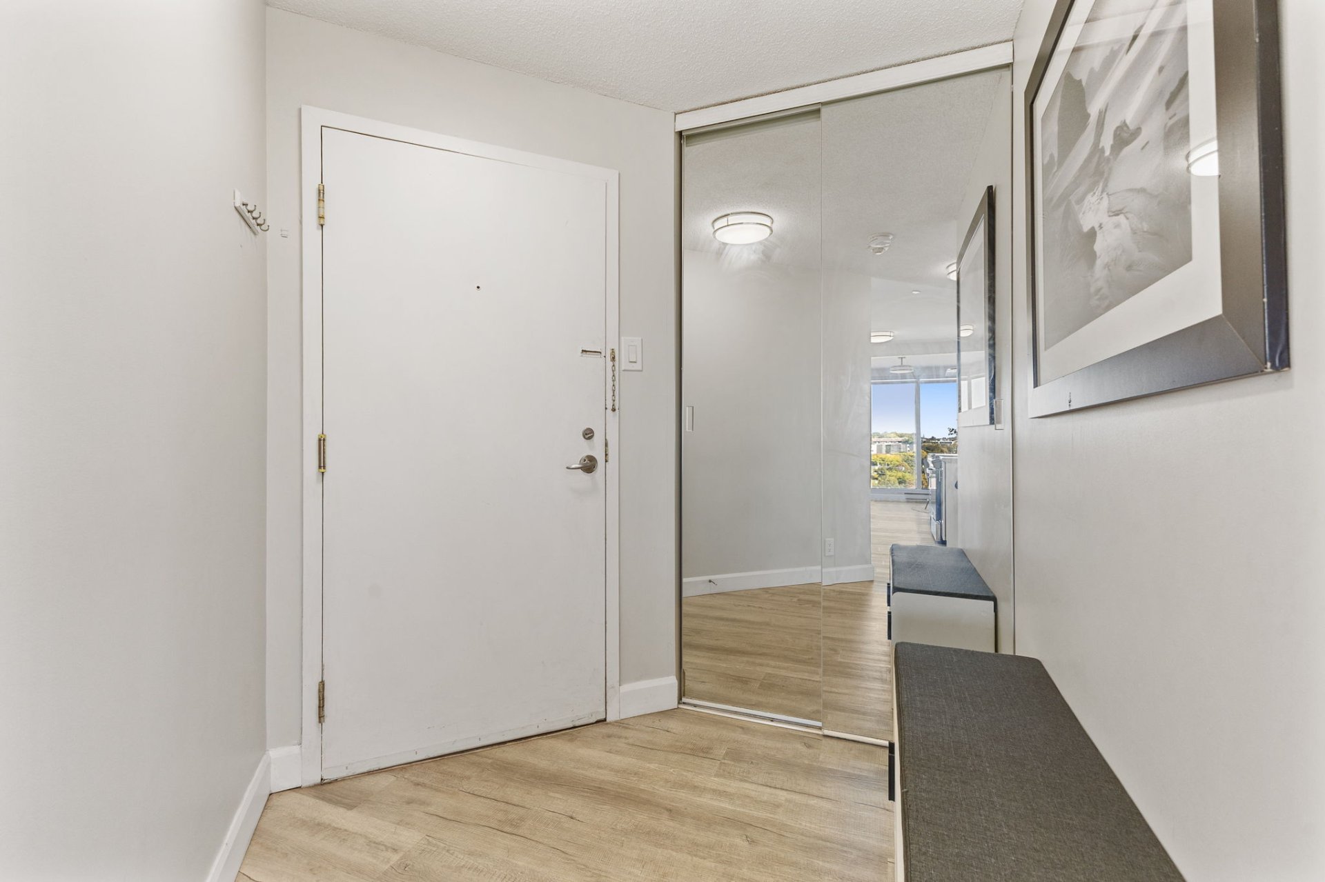Hall d'entrée/Vestibule