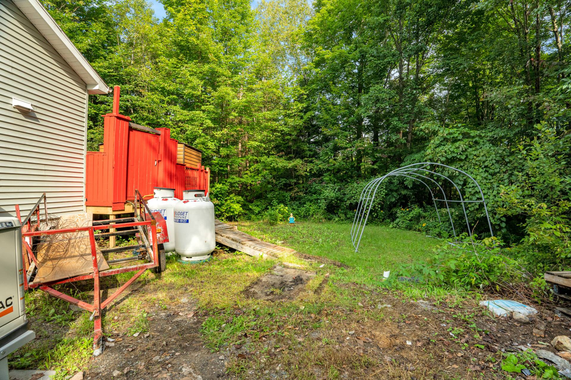 Backyard