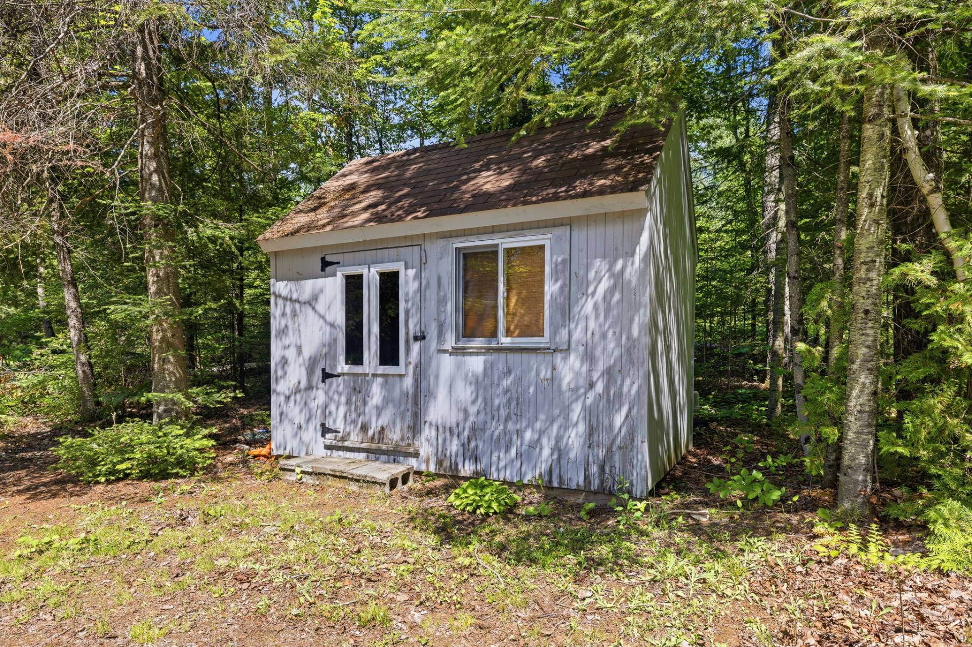 Shed