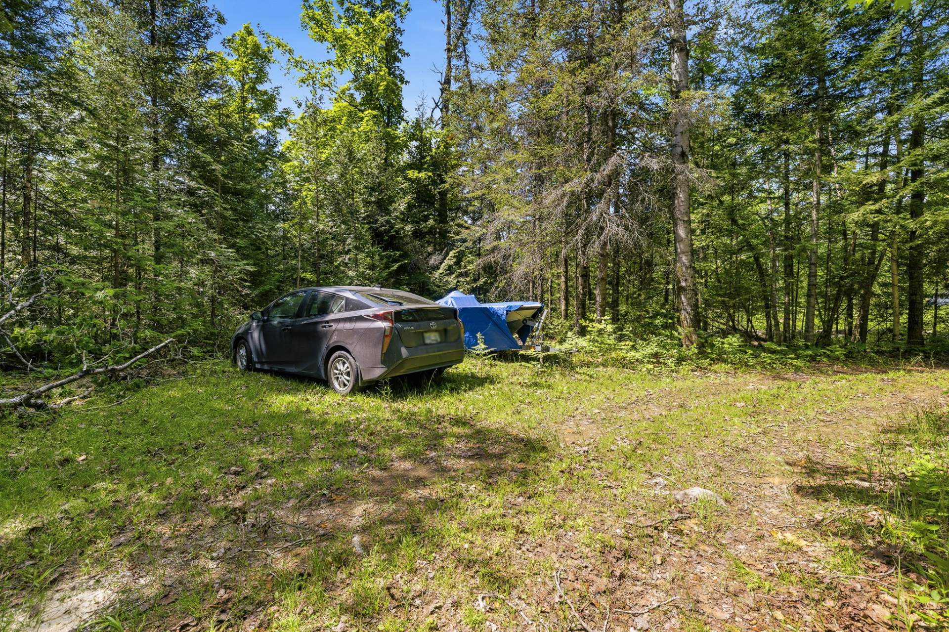 Land/Lot