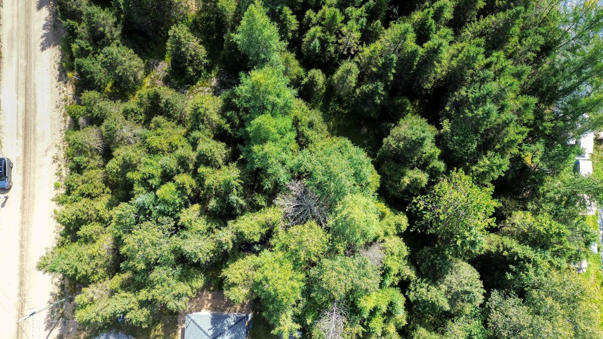 Aerial photo