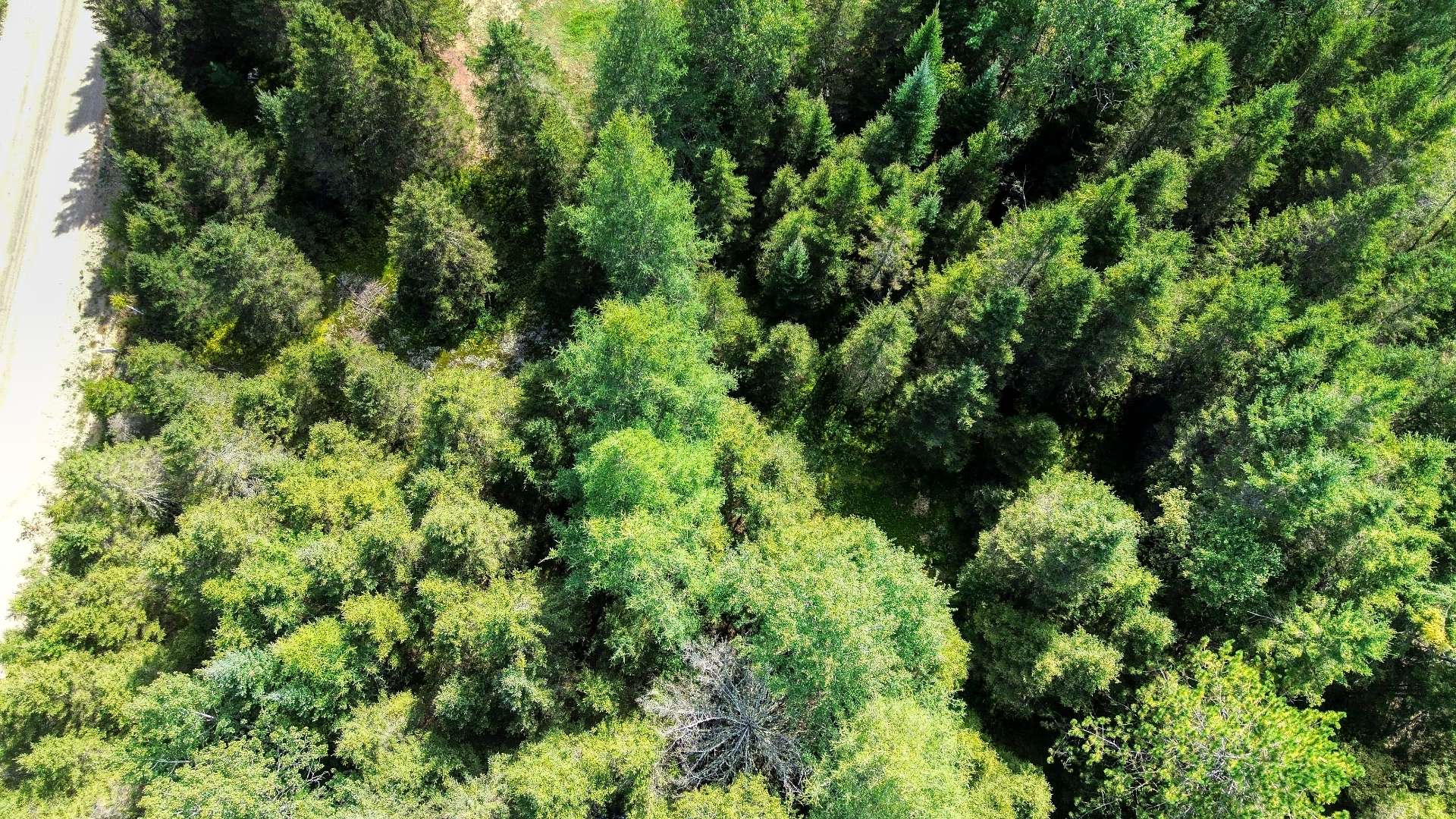 Aerial photo