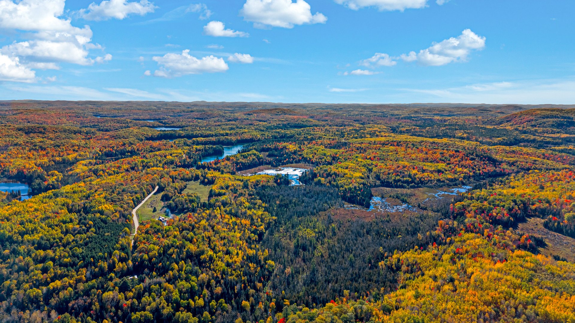 Aerial photo