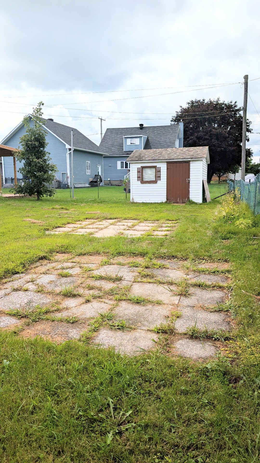 Backyard