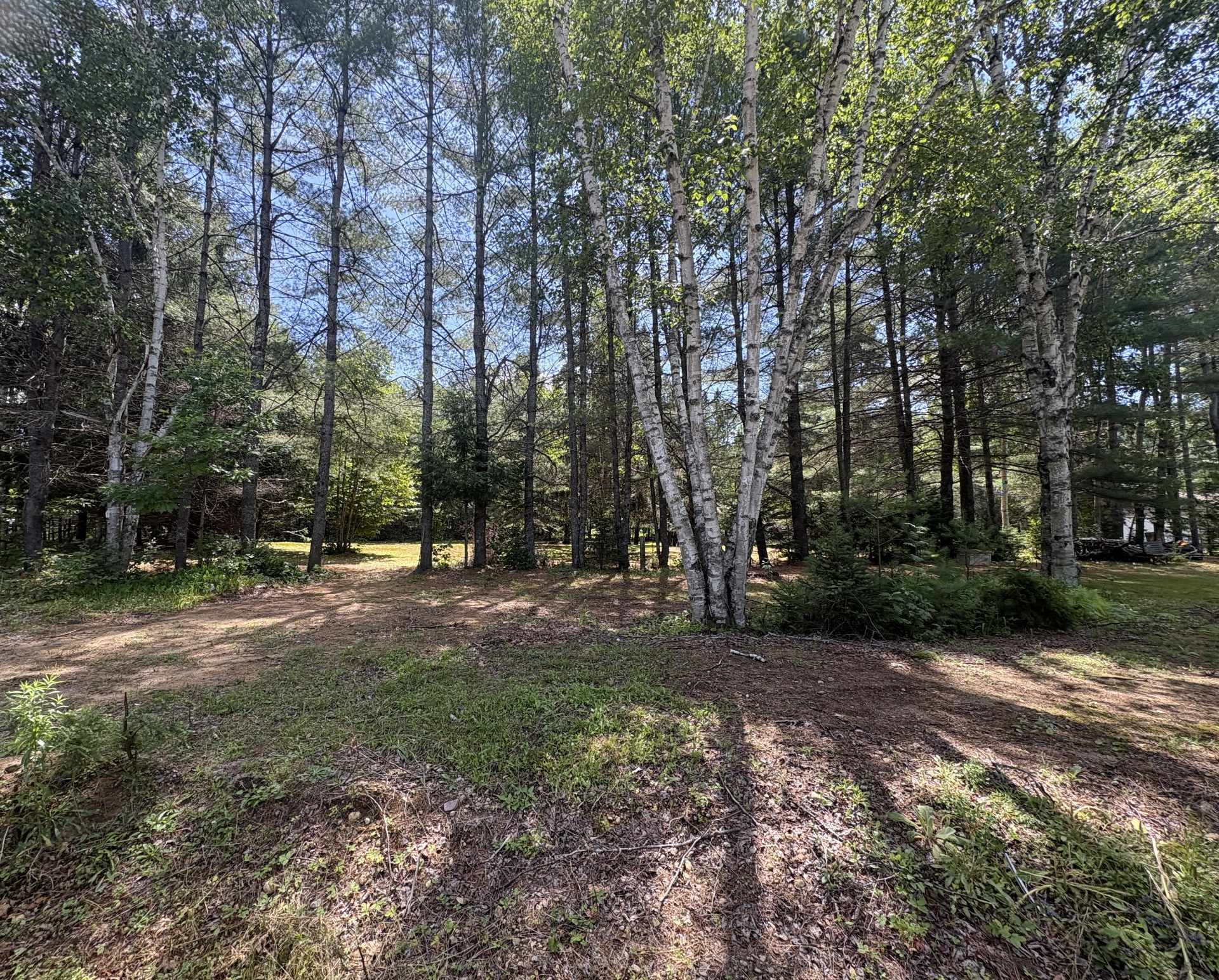 Land/Lot