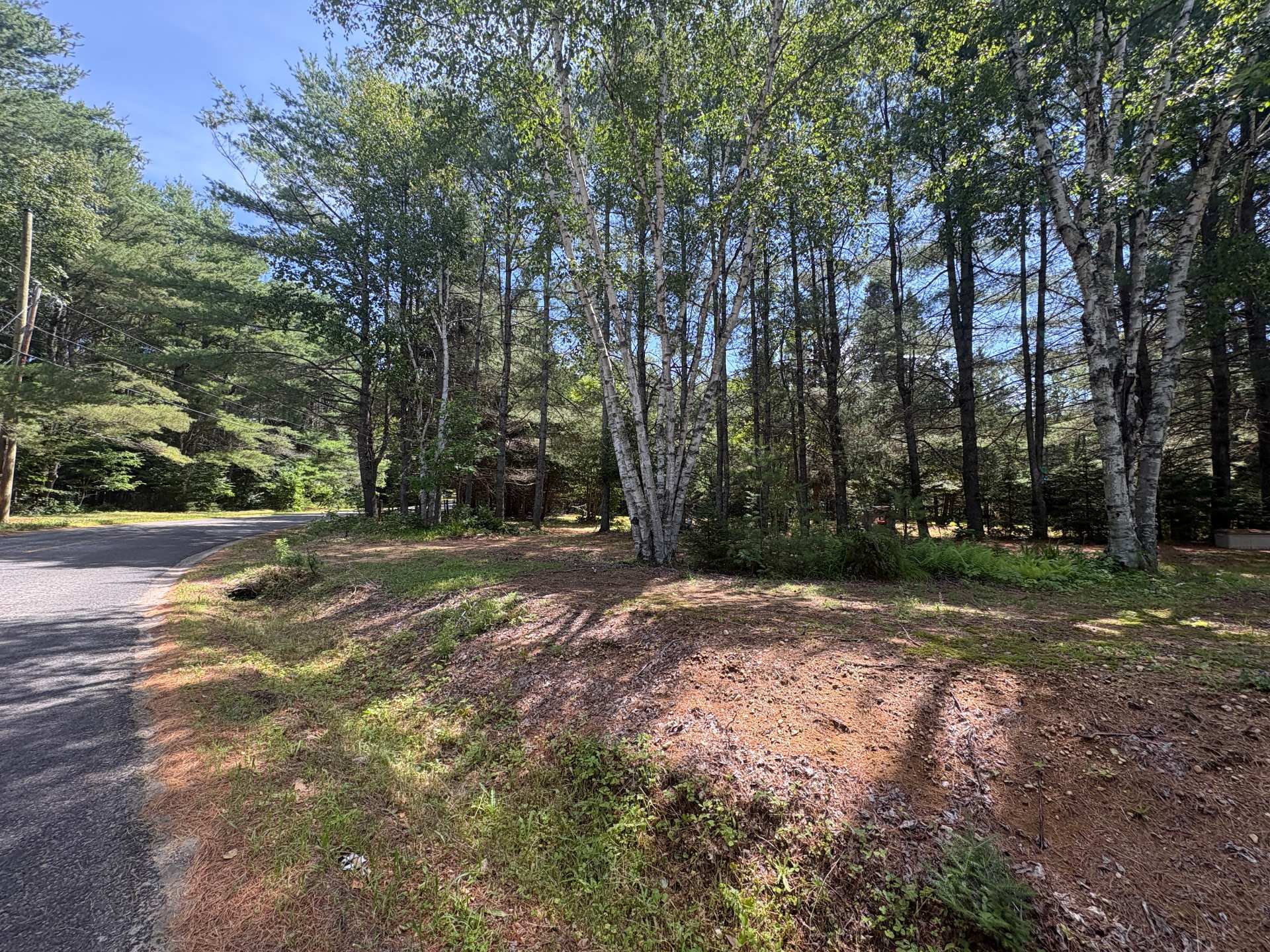 Land/Lot