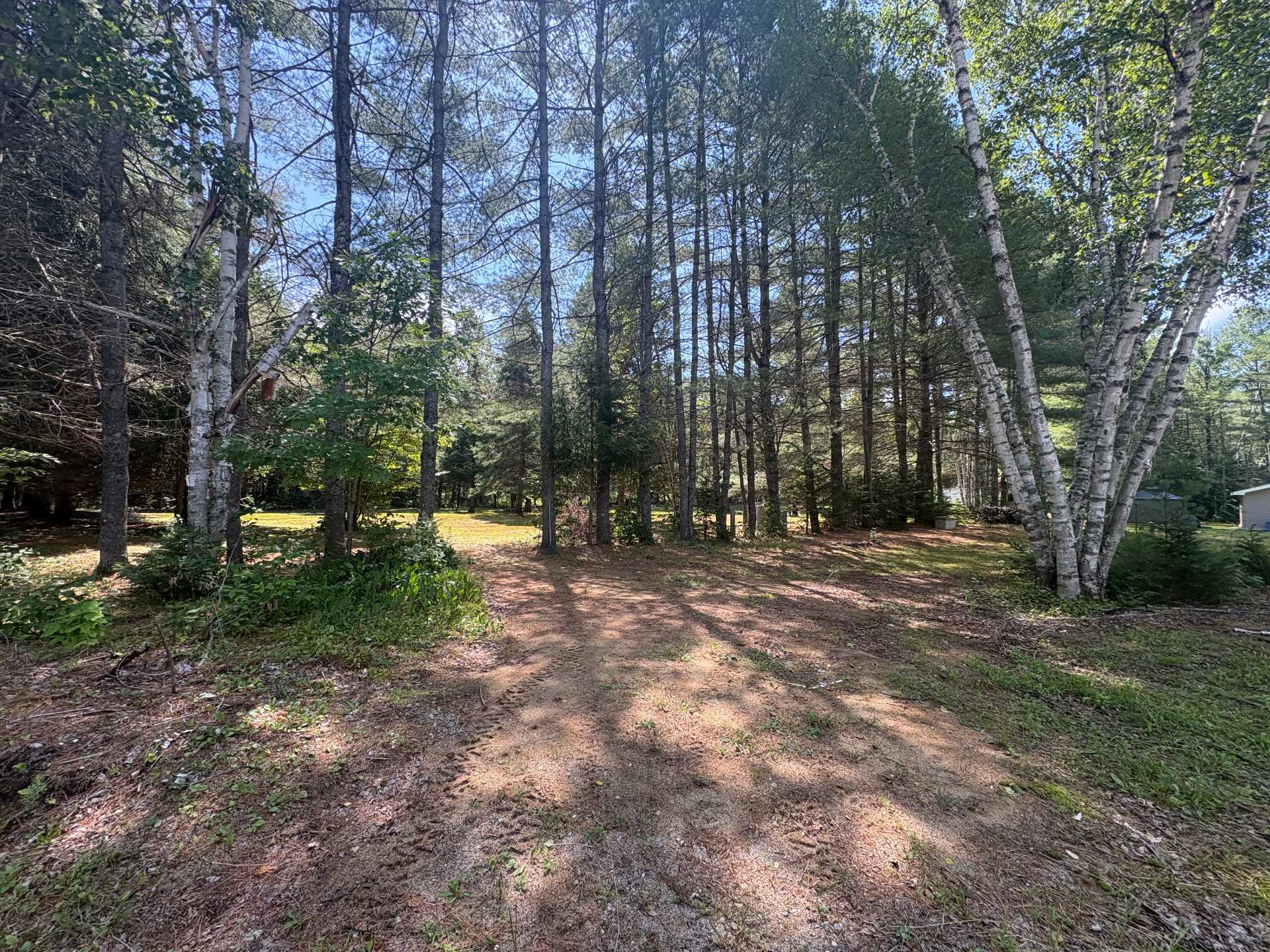 Land/Lot