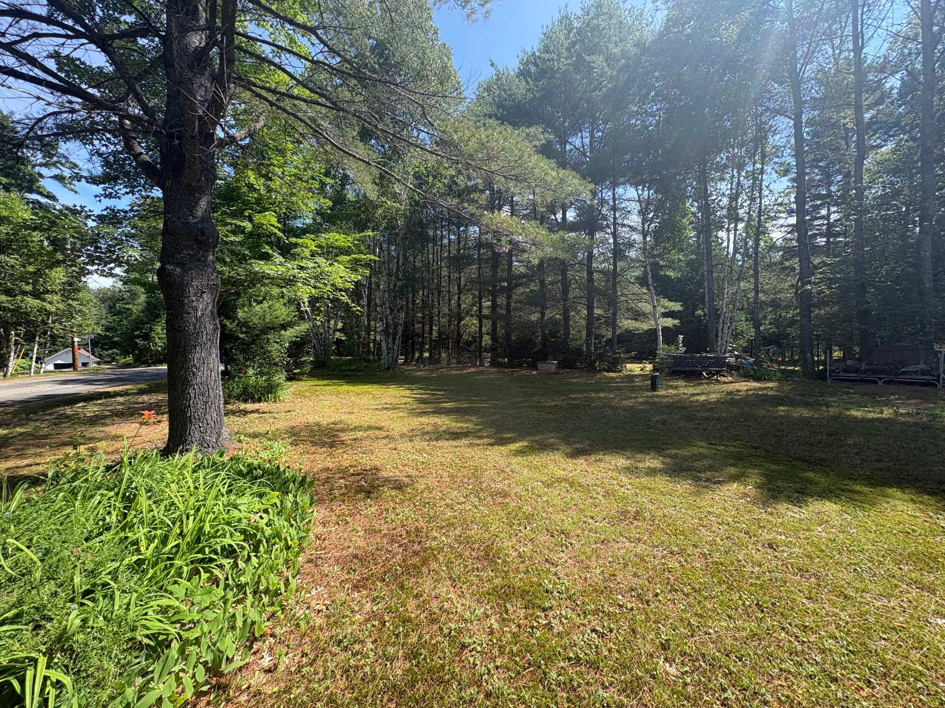 Land/Lot