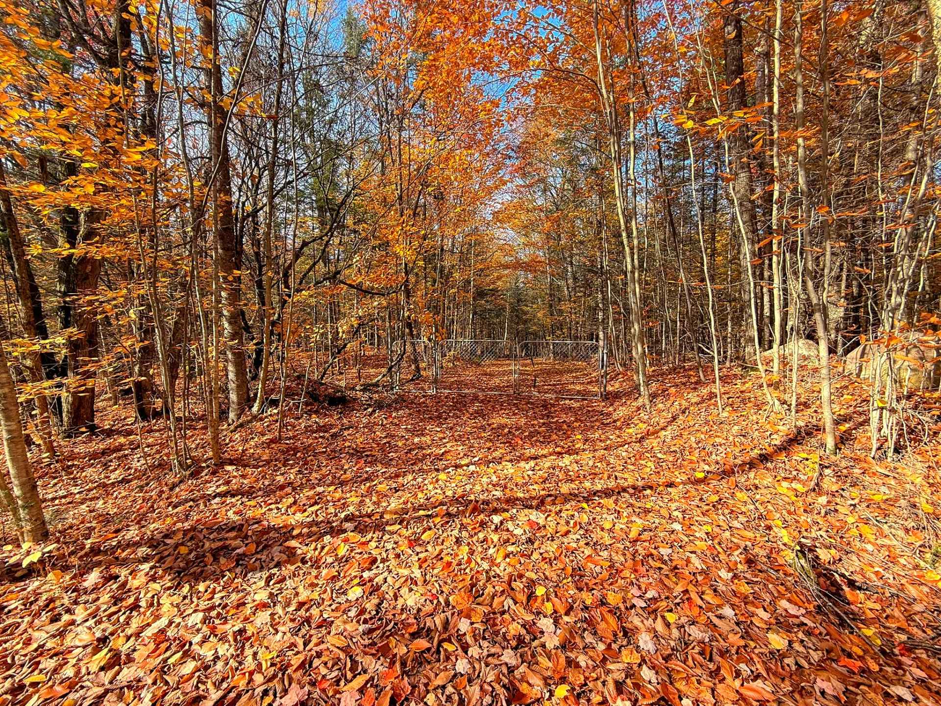Land/Lot