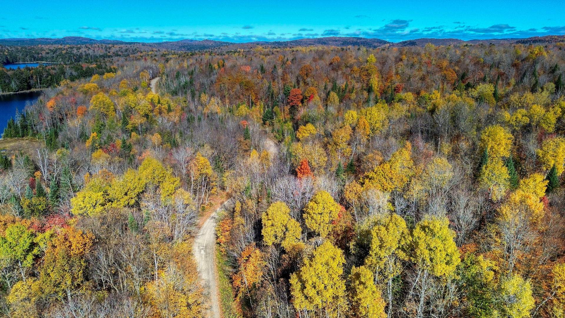 Aerial photo