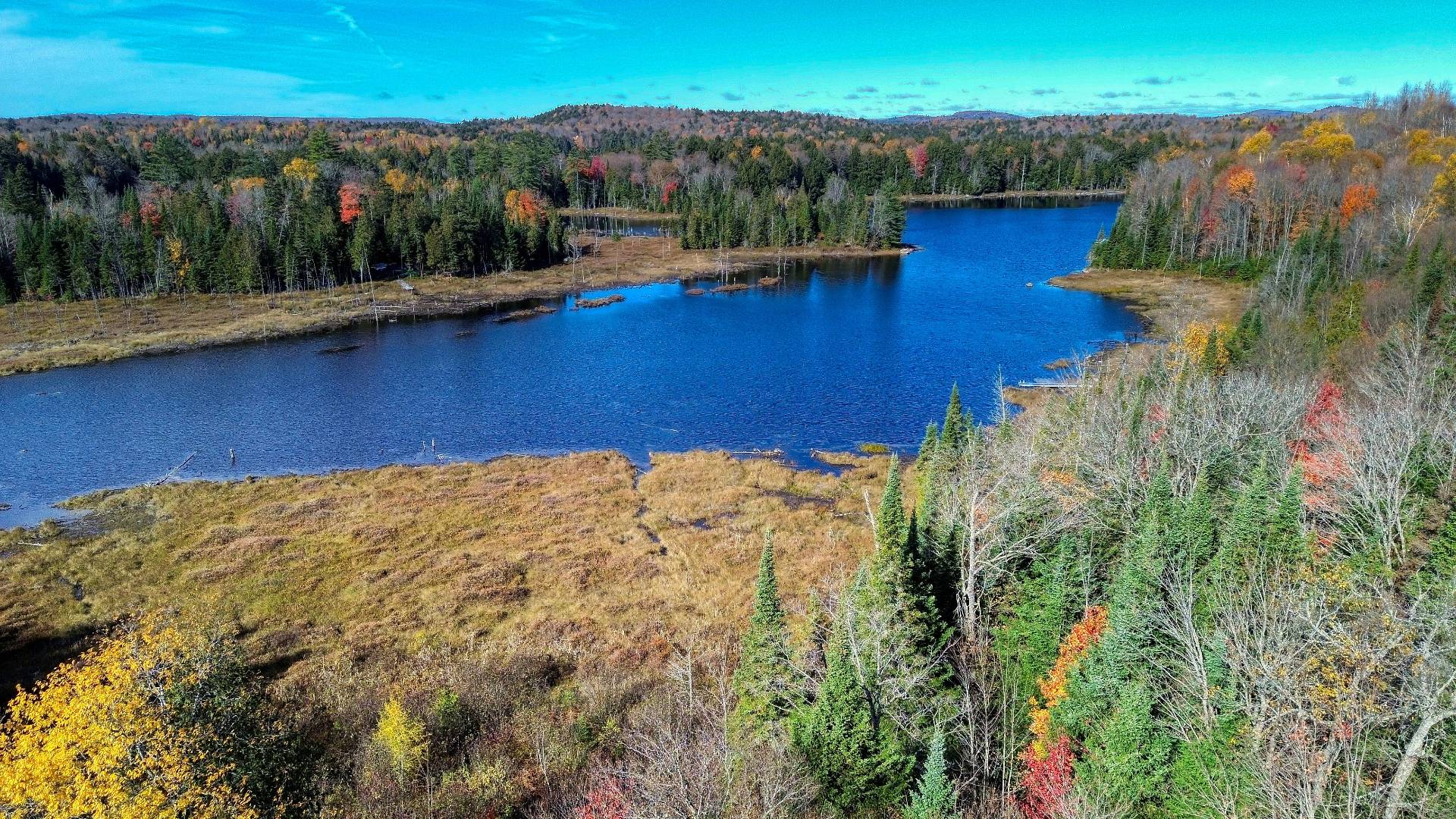 Aerial photo