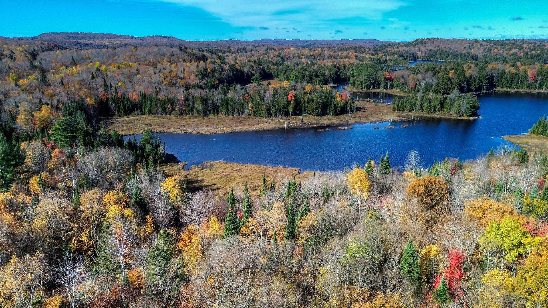 Aerial photo