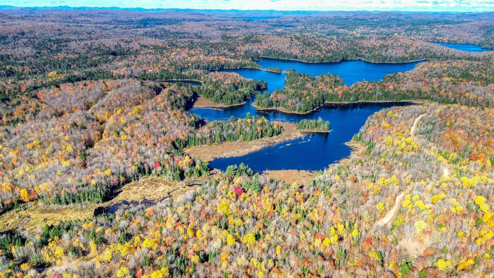 Aerial photo