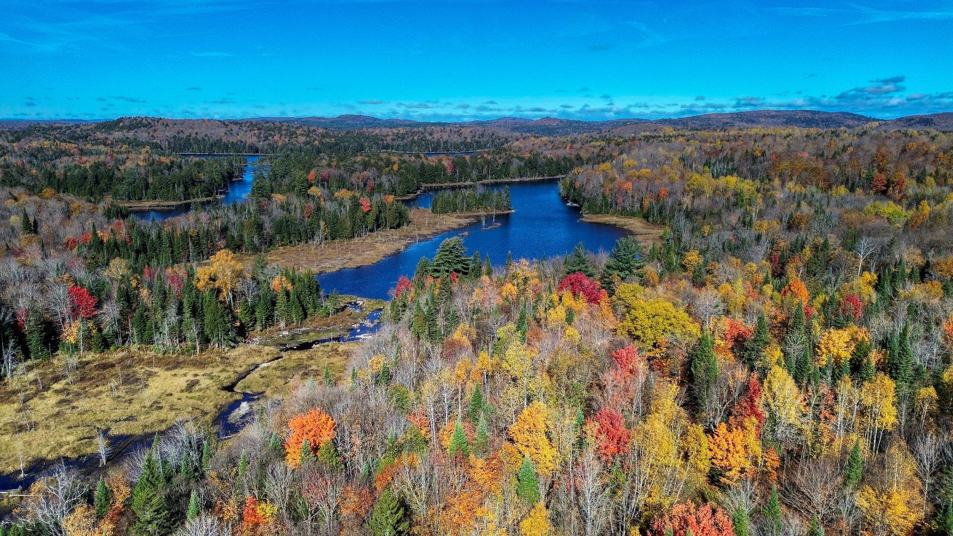 Aerial photo