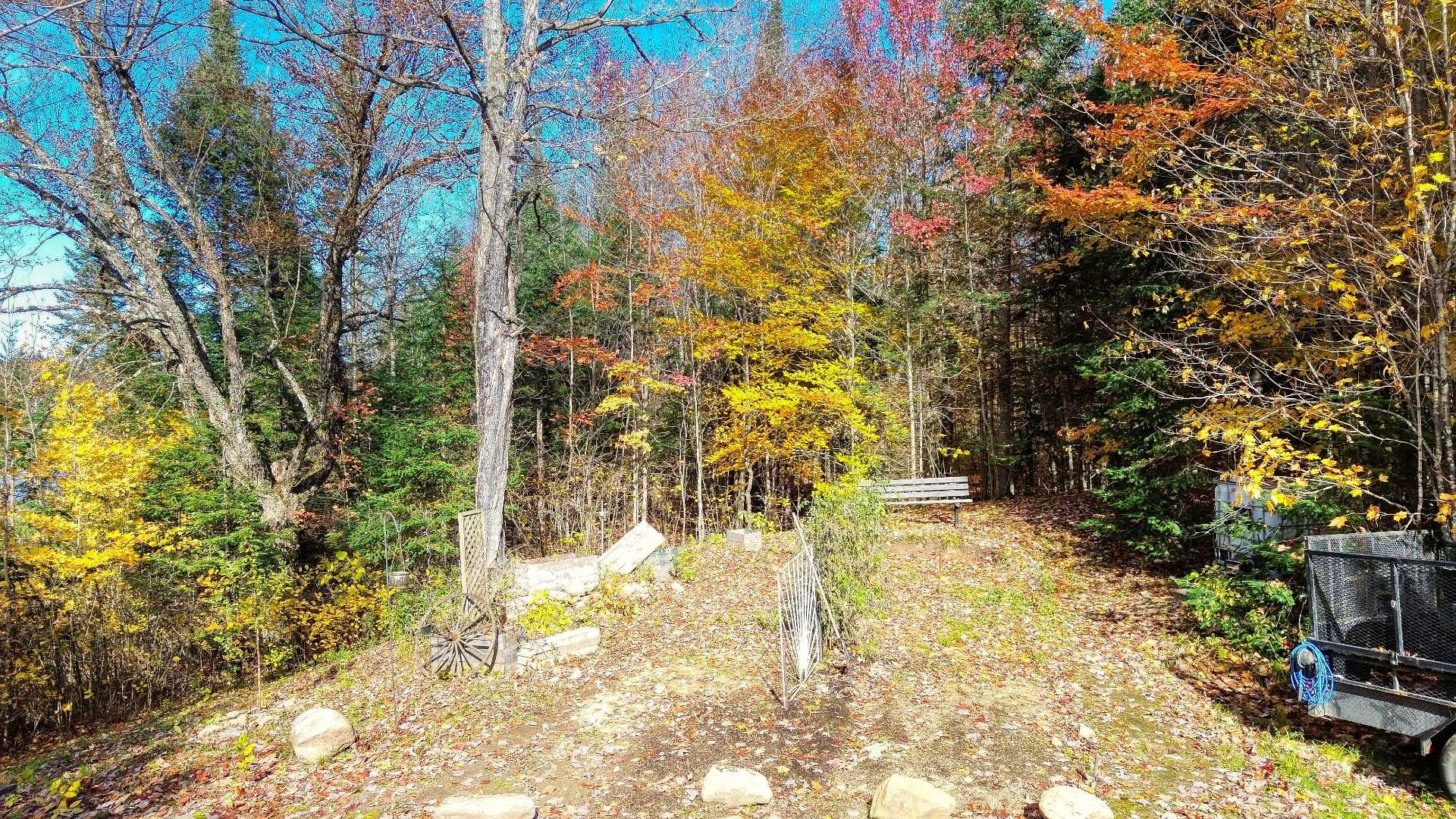 Land/Lot
