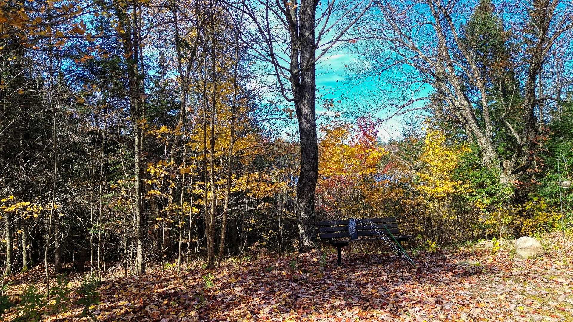 Land/Lot