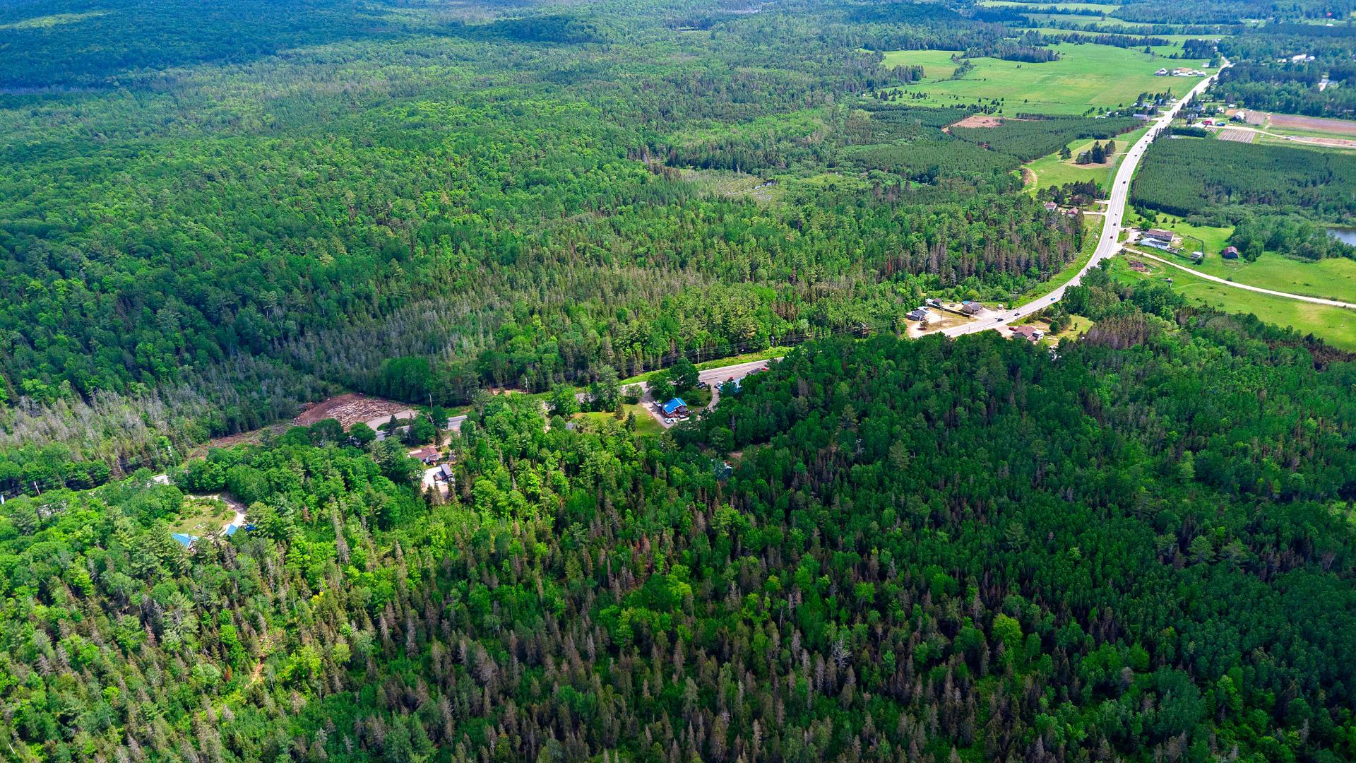 Aerial photo