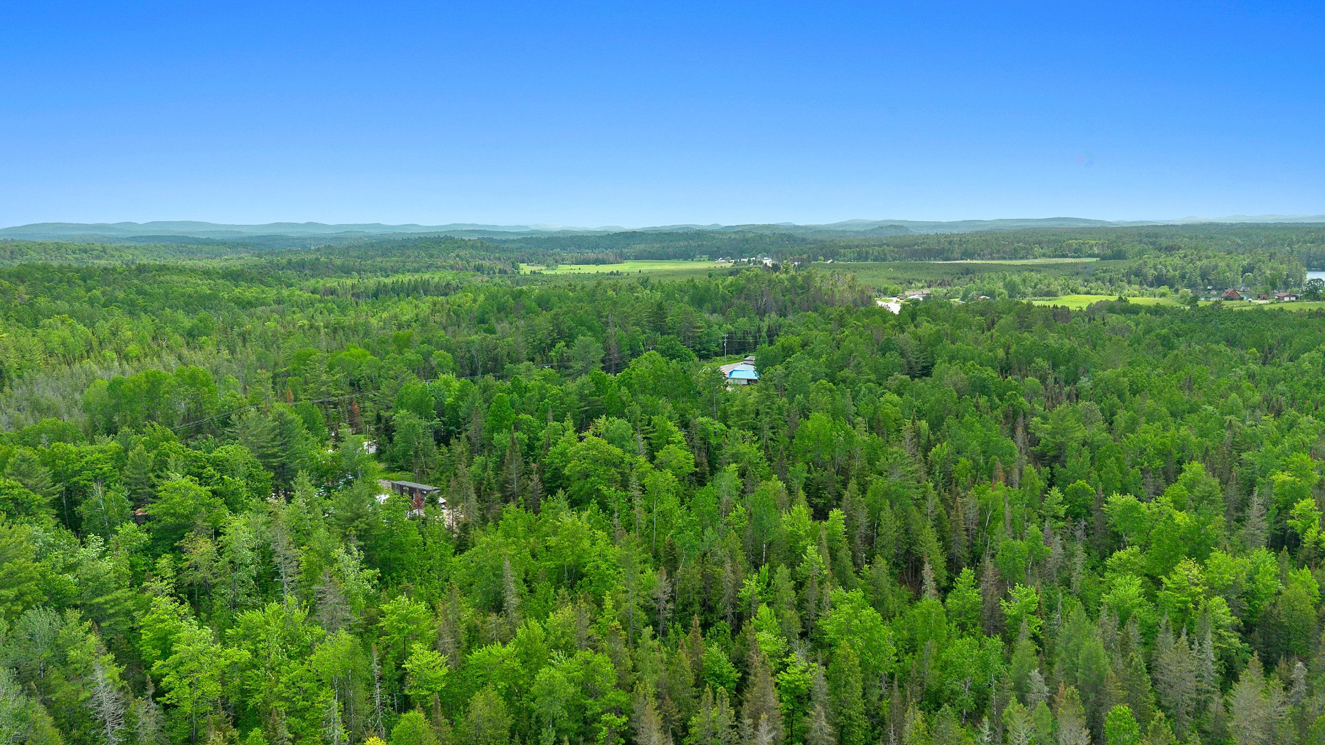 Aerial photo