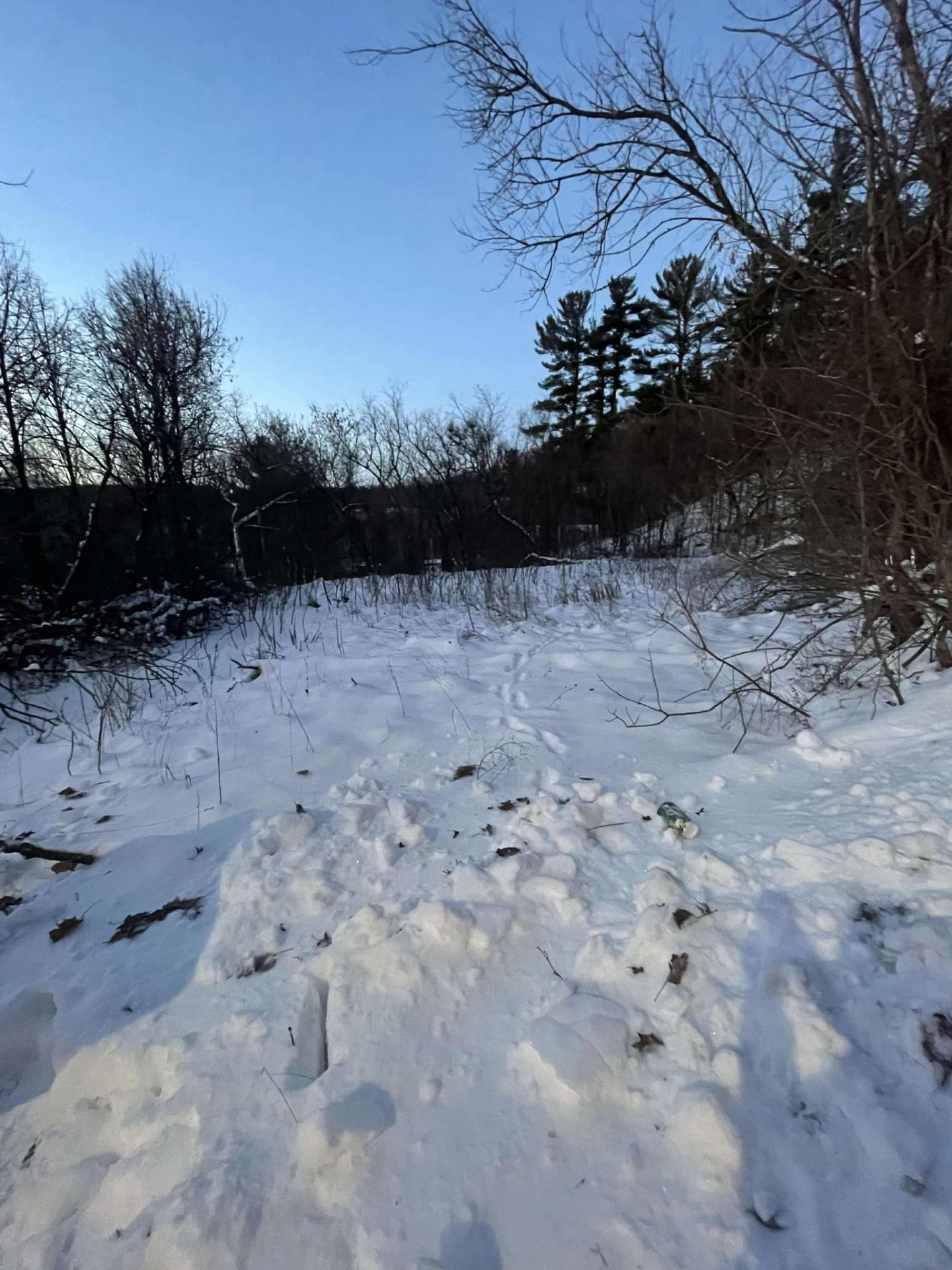 Exterior - View of the land