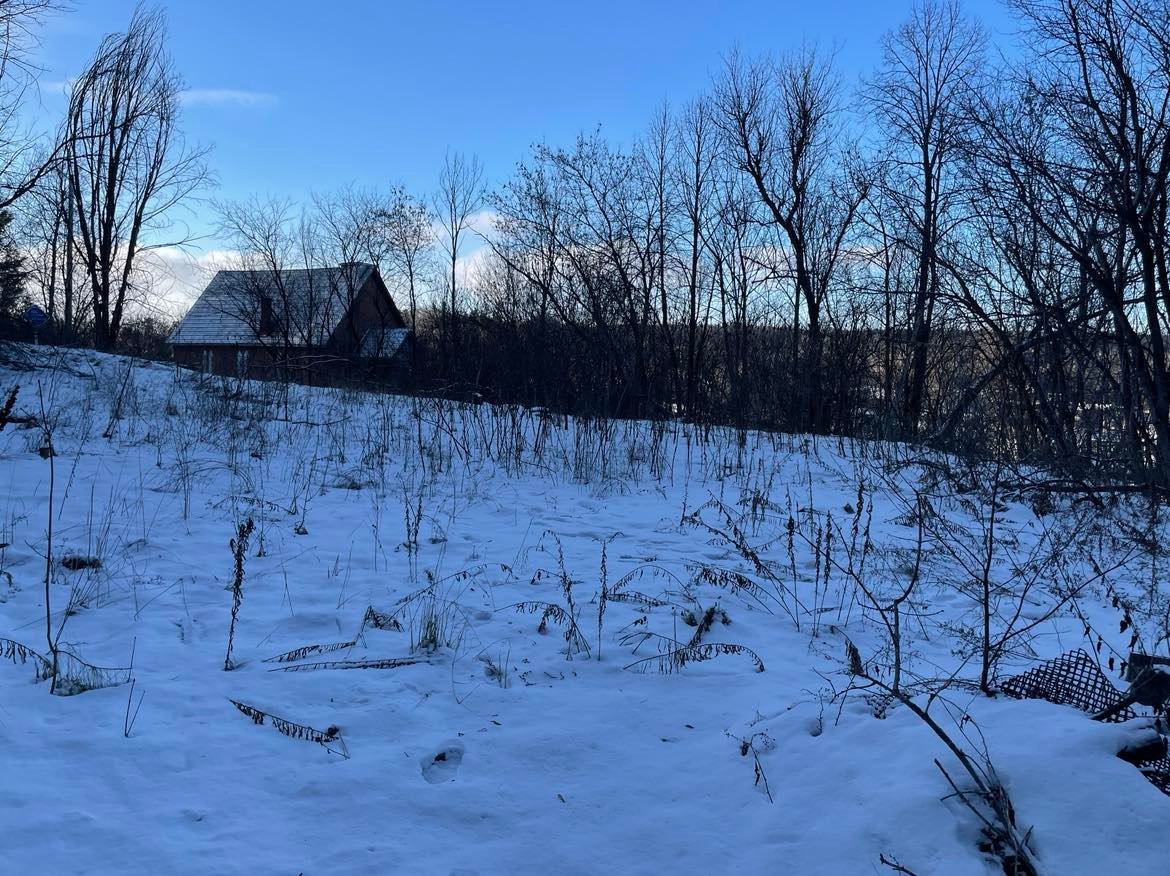 Exterior - View from the back of the lot