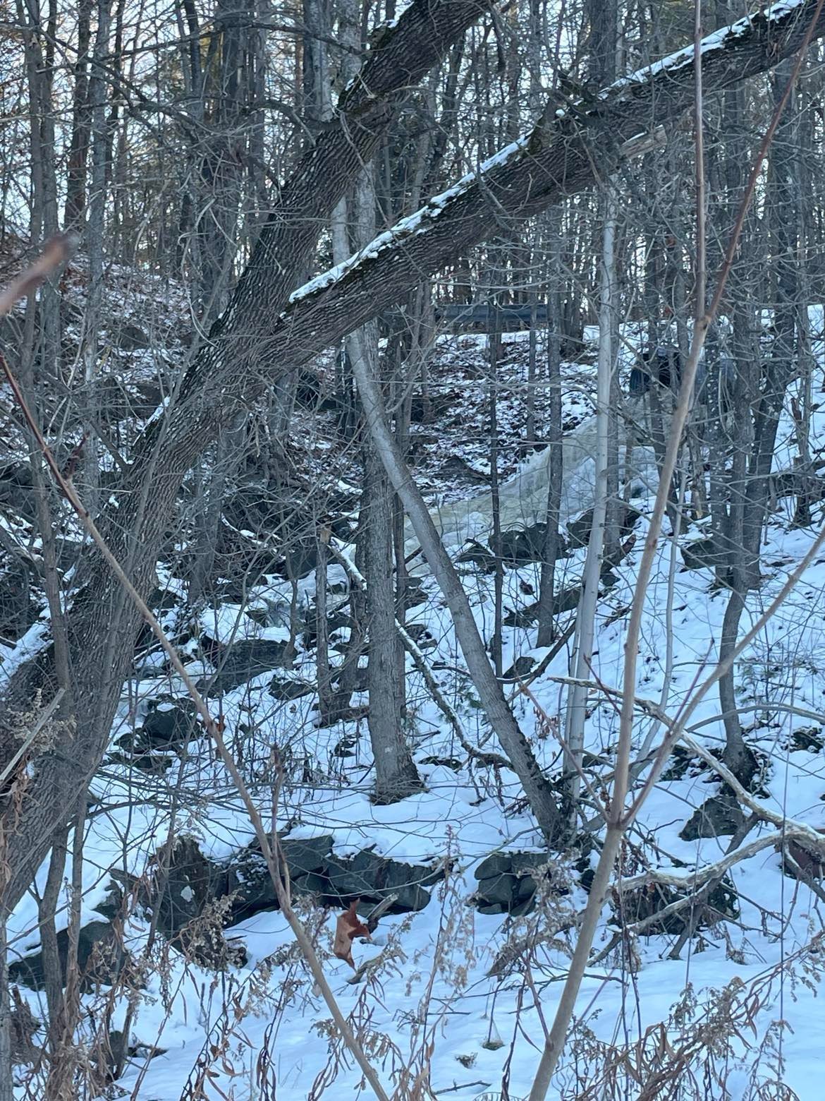 View - small culvert