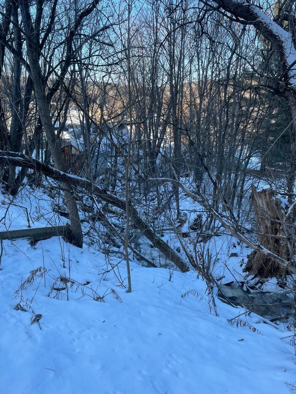 View - small culvert
