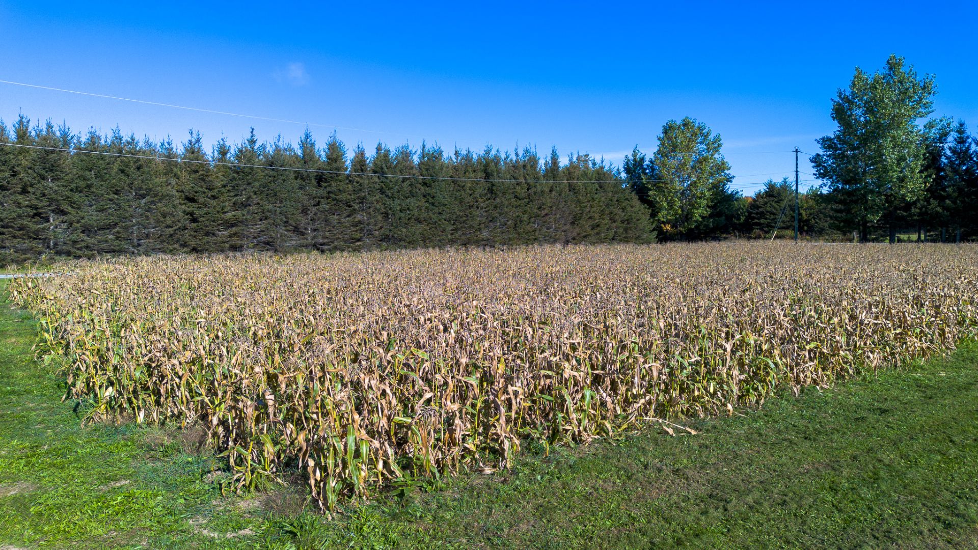 Land/Lot