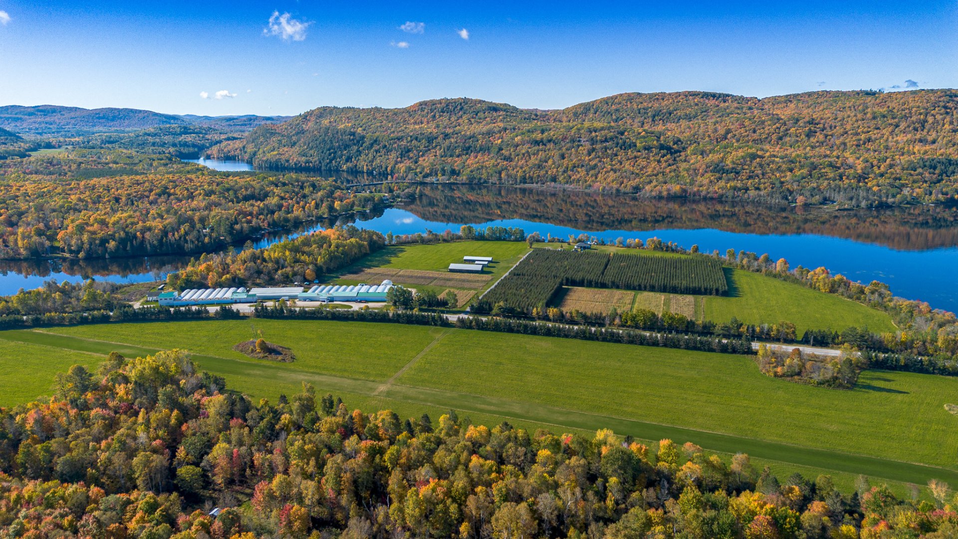 Land/Lot