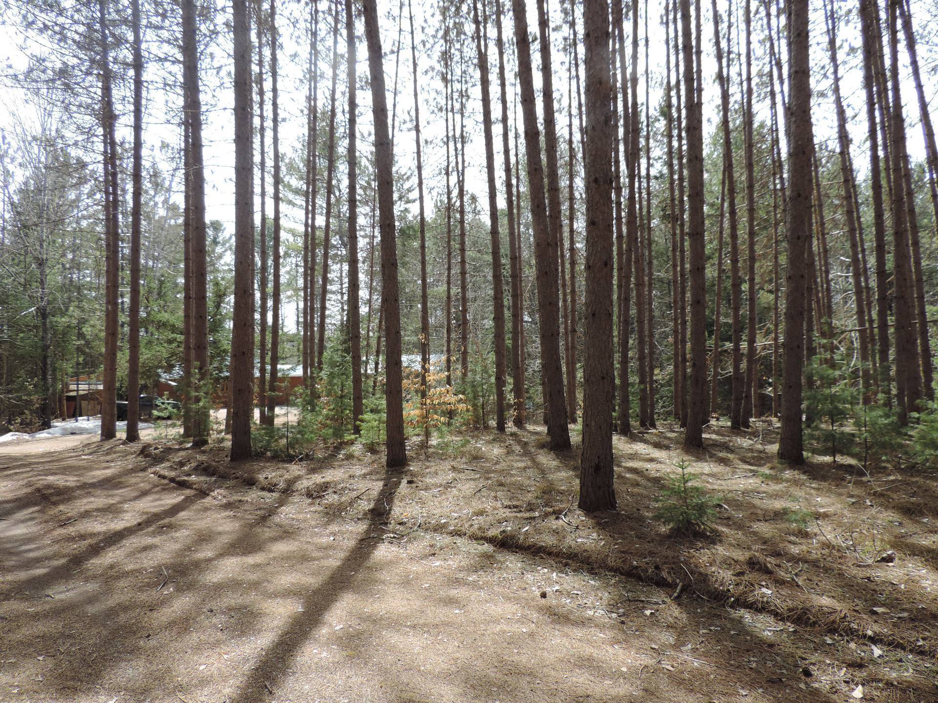 Wooded area