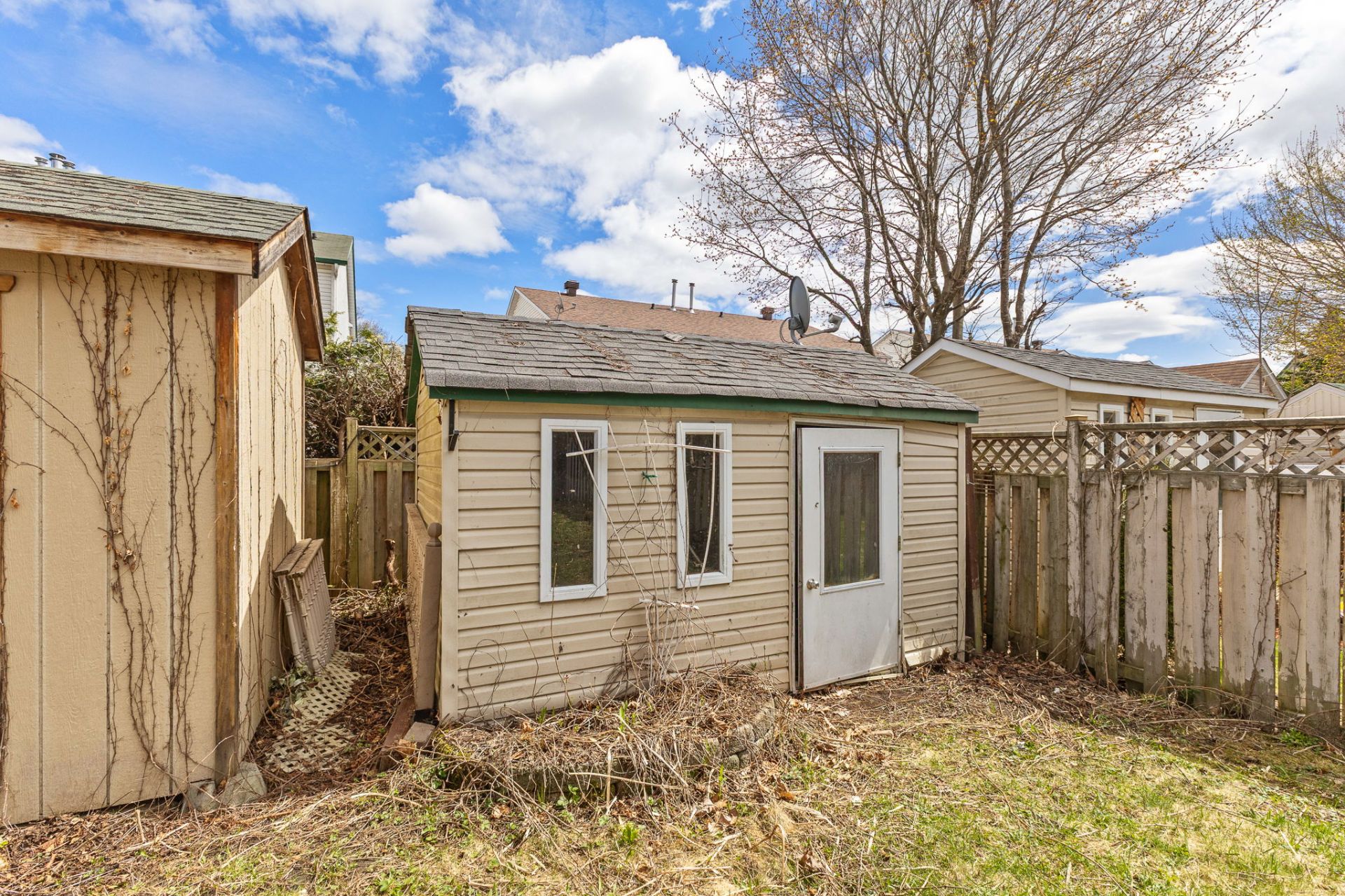Shed