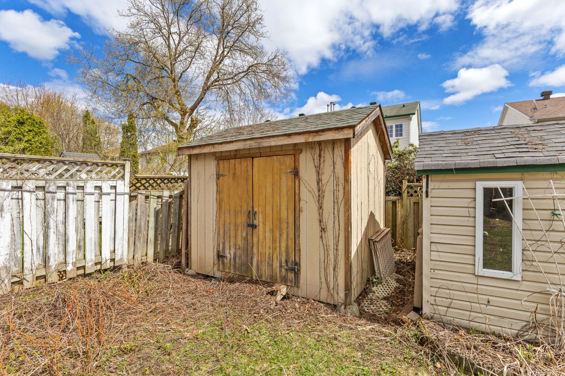 Shed