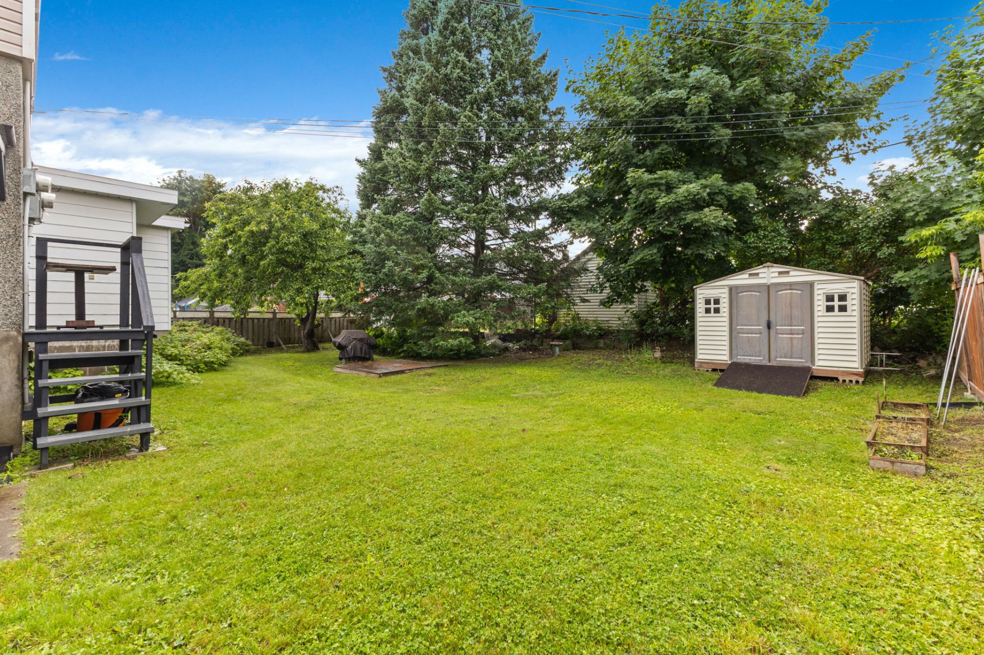 Backyard